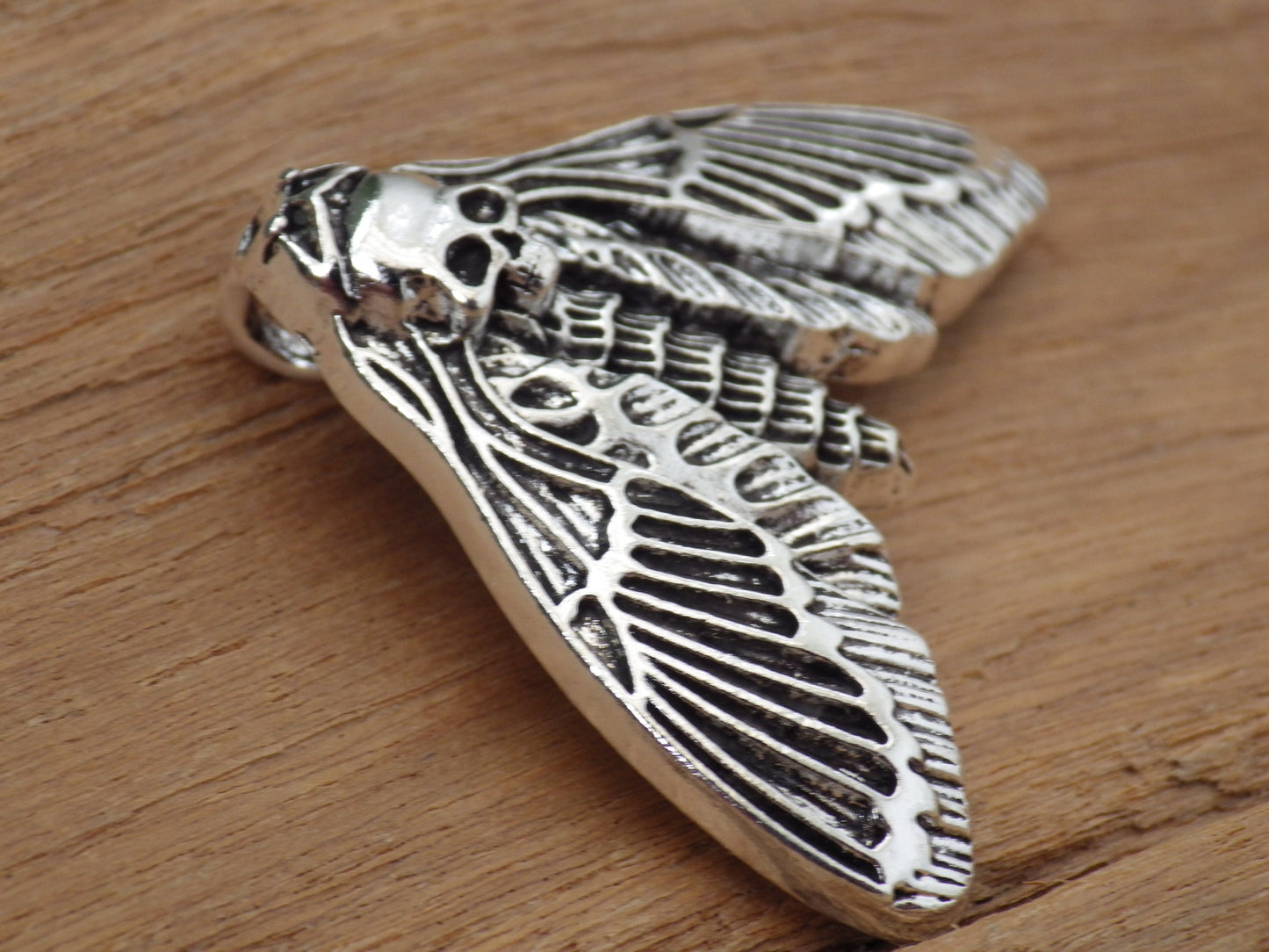 Death Head Moth Charm Pendant
