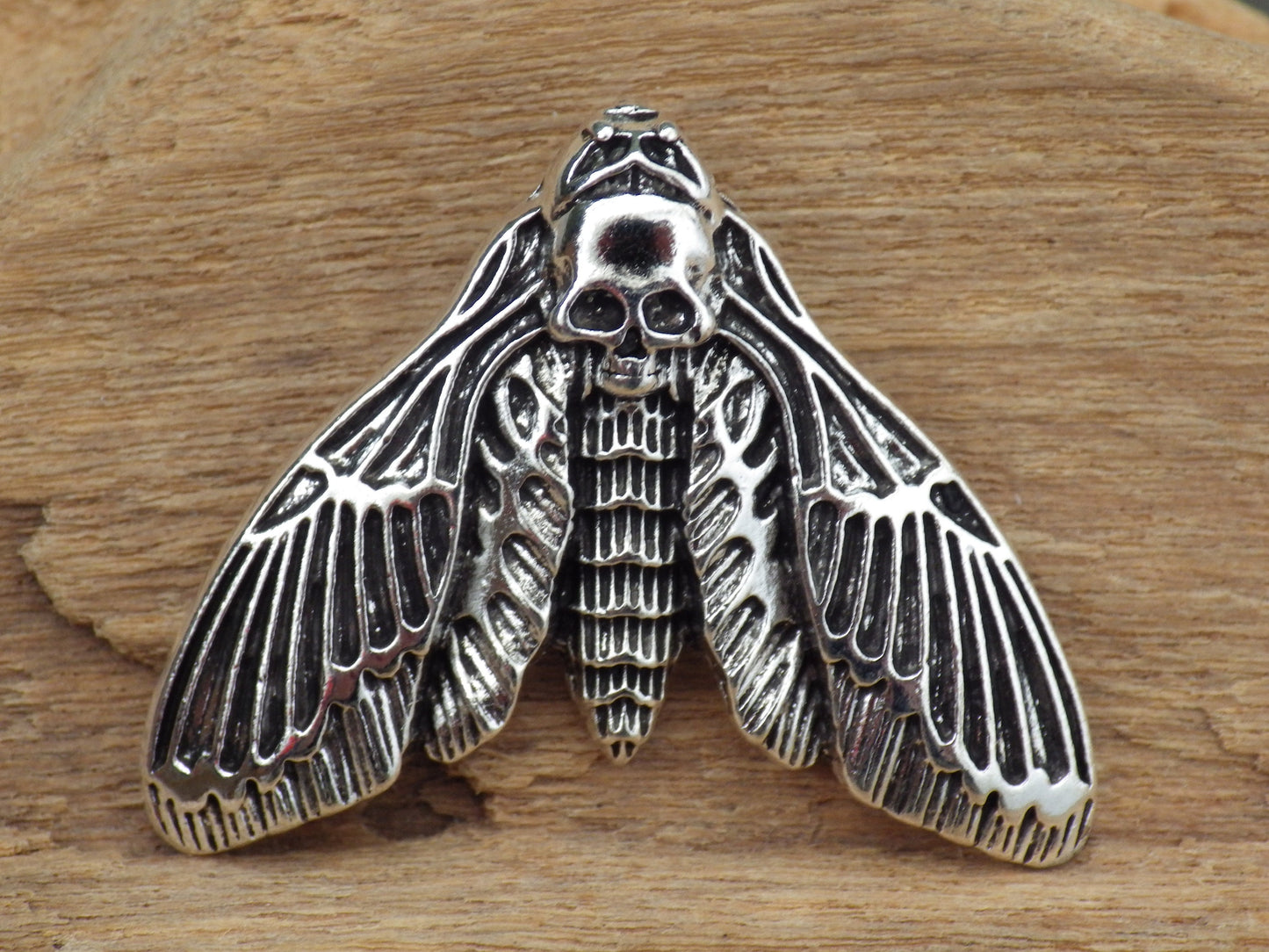 Death Head Moth Charm Pendant