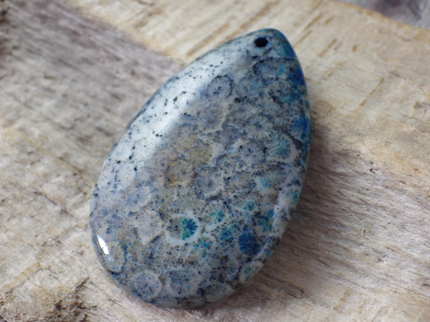 Blue Fossil Coral Jasper Pendant 49x31mm M6