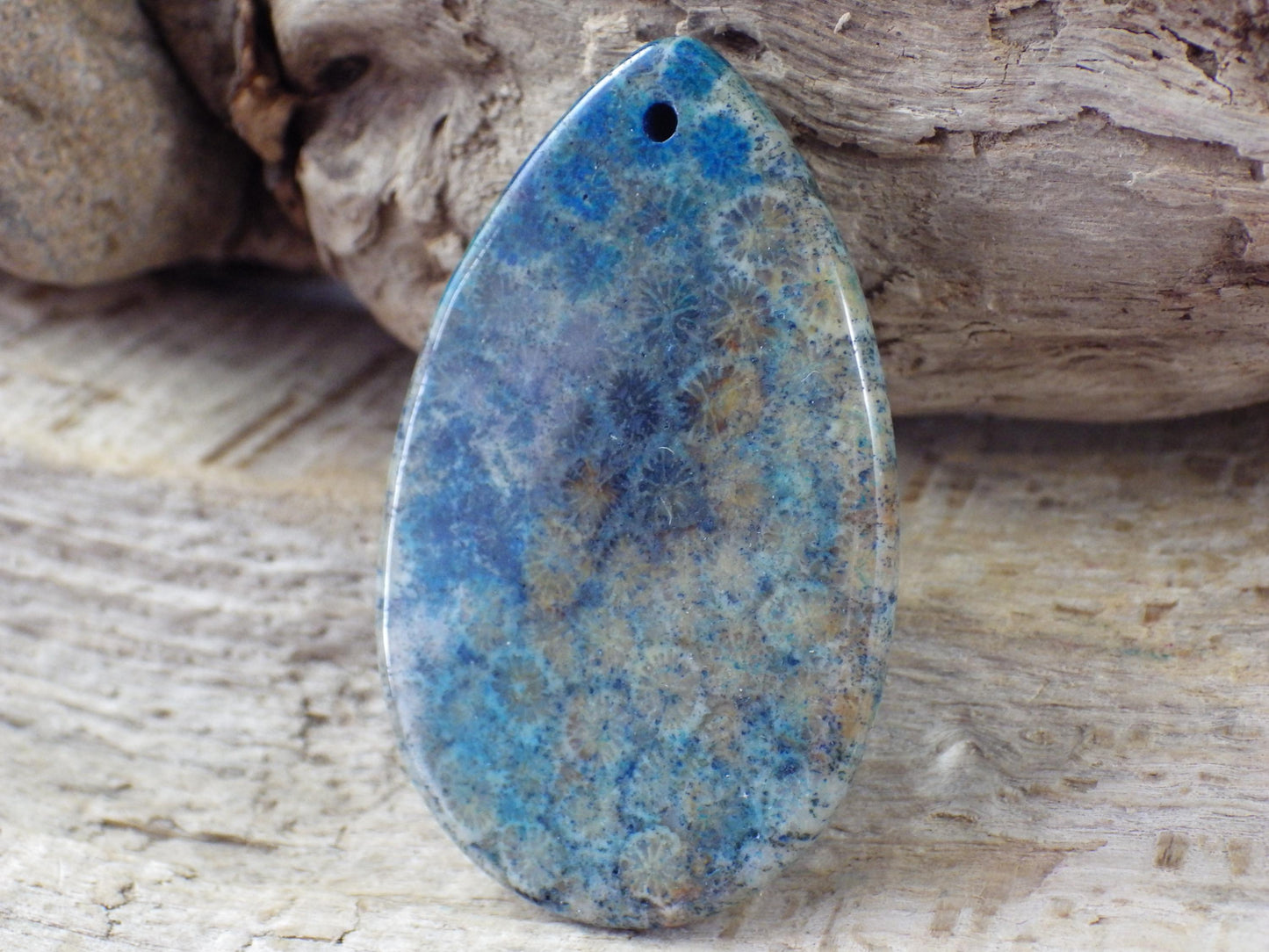 Blue Fossil Coral Jasper Pendant 49x31mm M6
