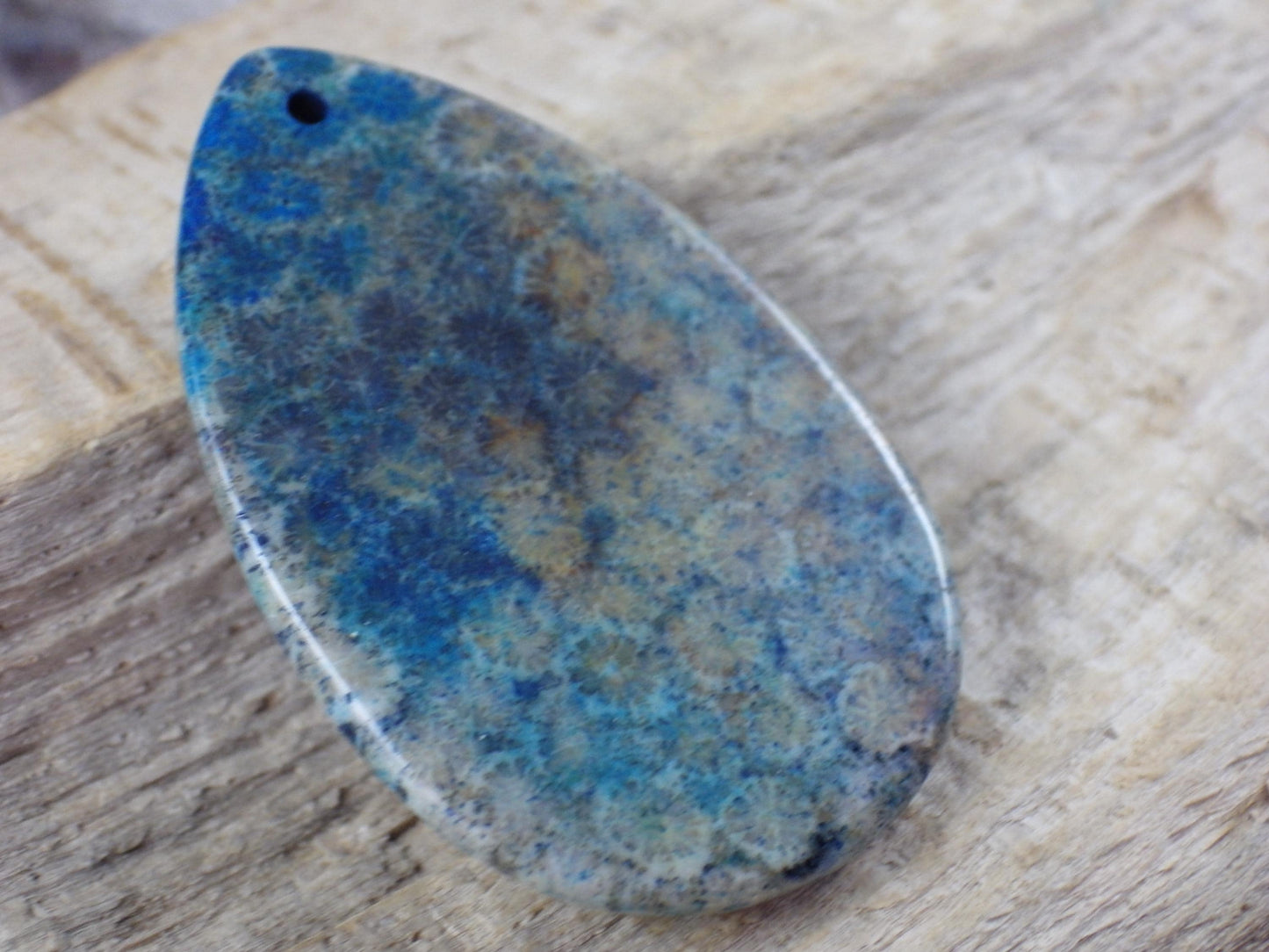 Blue Fossil Coral Jasper Pendant 49x31mm M6
