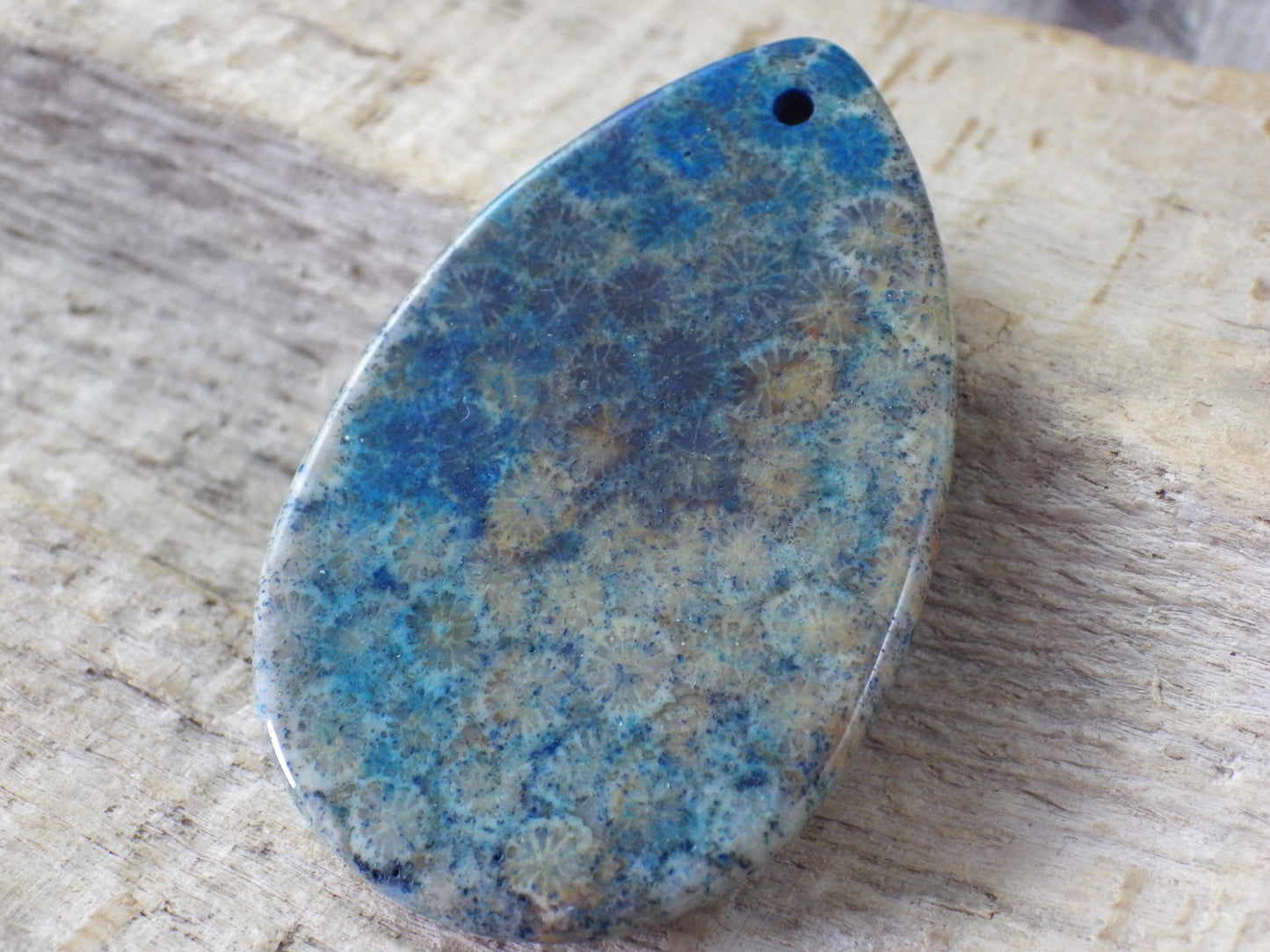 Blue Fossil Coral Jasper Pendant 49x31mm M6