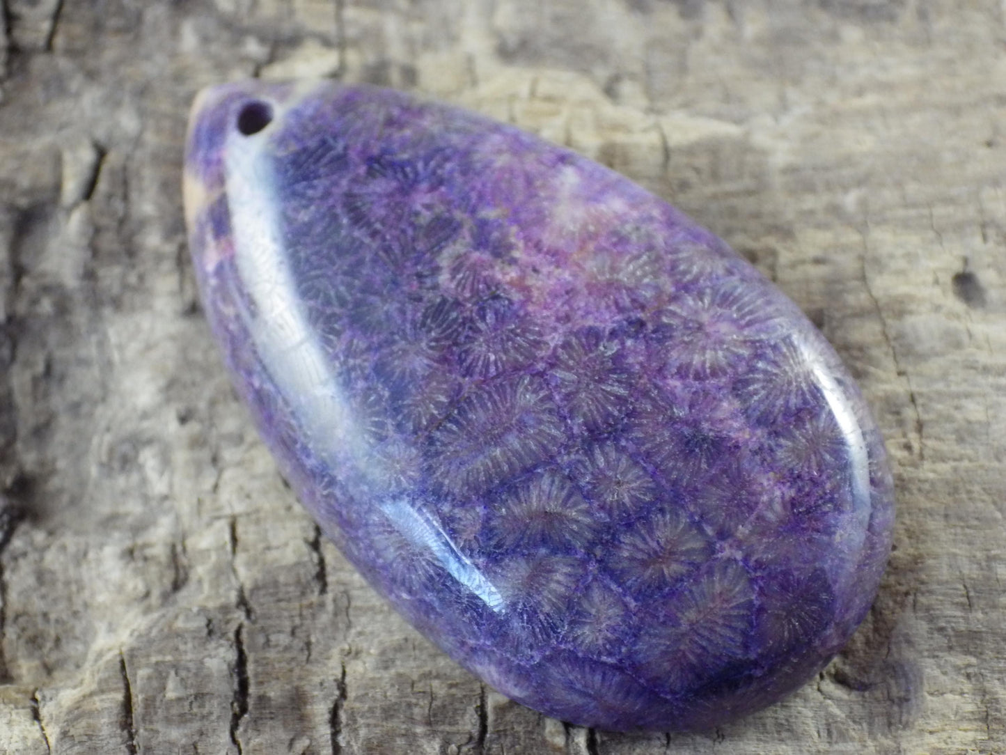 Fossil Coral Jasper Pendant 45x24mm Semi Precious Gemstone, Top Drilled Cabochon, Flat Back Teardrop Loose Stone, Jewelry Making Supplies L2