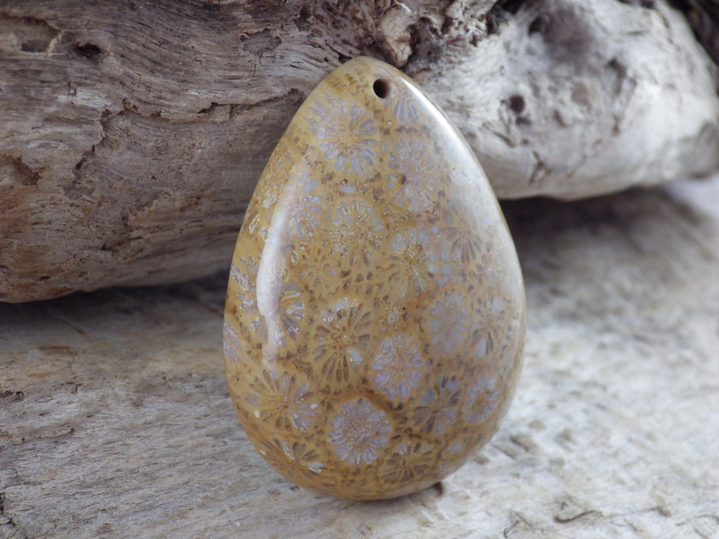 Fossil Coral Teardrop Pendant 41x31mm, Semi Precious Gemstone, Natural Loose Designer's Stone, Jewellery Making Supplies, UK Seller H1