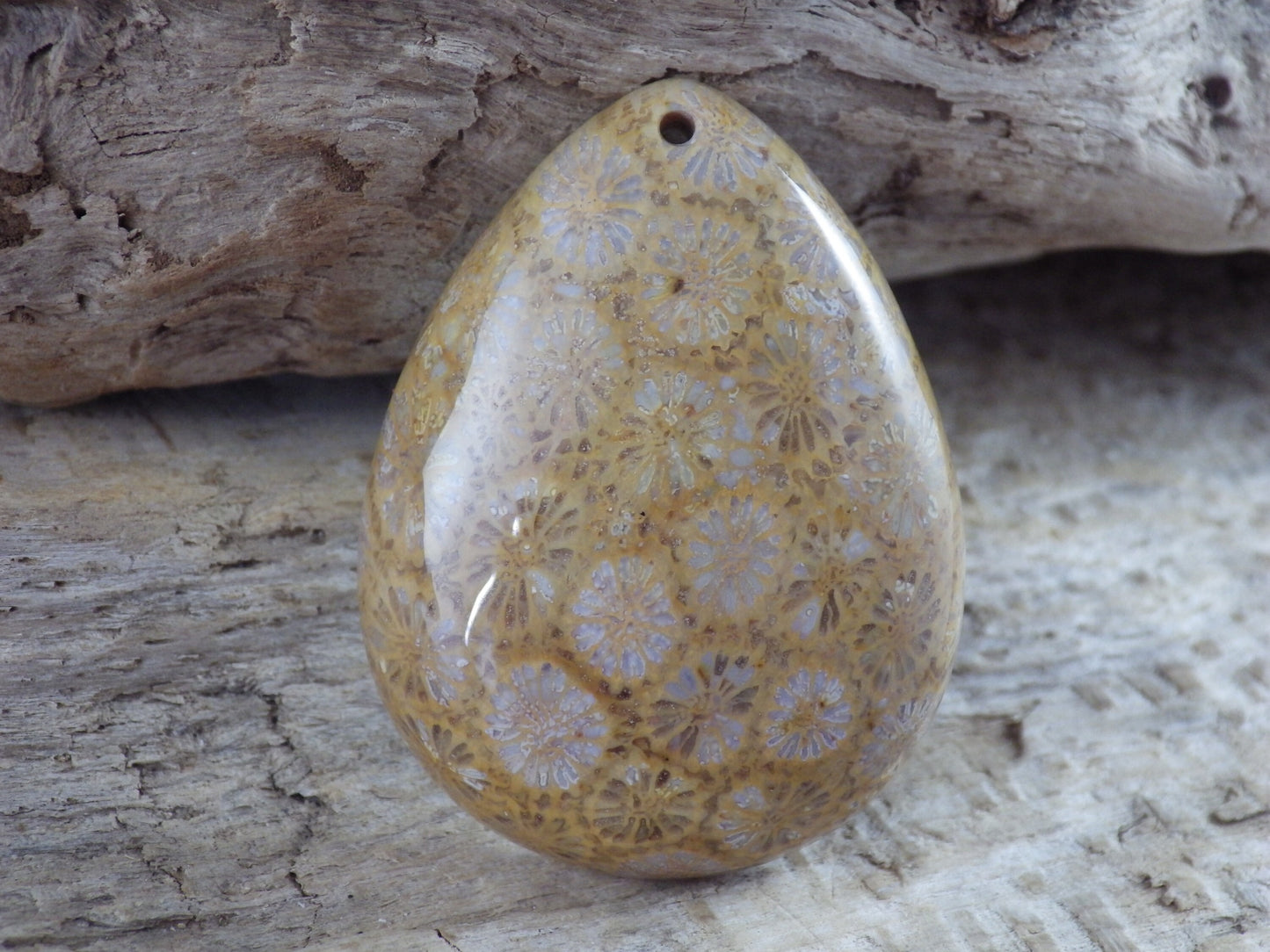Fossil Coral Teardrop Pendant 41x31mm, Semi Precious Gemstone, Natural Loose Designer's Stone, Jewellery Making Supplies, UK Seller H1