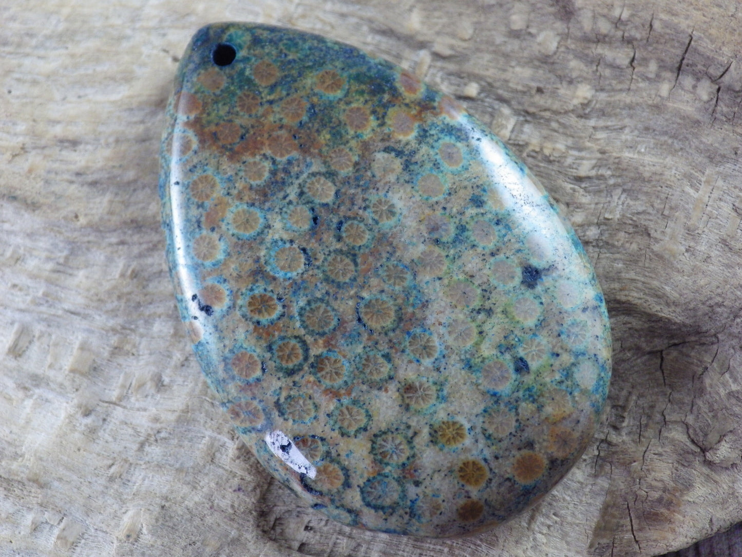 Blue Fossil Coral Jasper Teardrop Pendant, 47x31mm Semi Precious Gemstone, Necklace Pendant, Designers Loose Stone, Jewellery Supplies H9