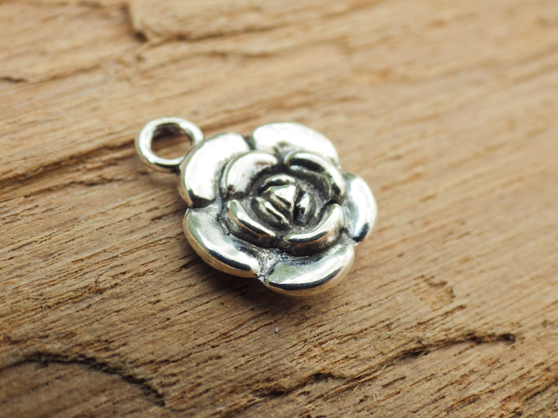 10x Nature Pagan Wiccan Charms Pendants, Silver Earring Bracelet Charms, Woodland Forest Green Man Hare, Jewellery Making Supplies UK