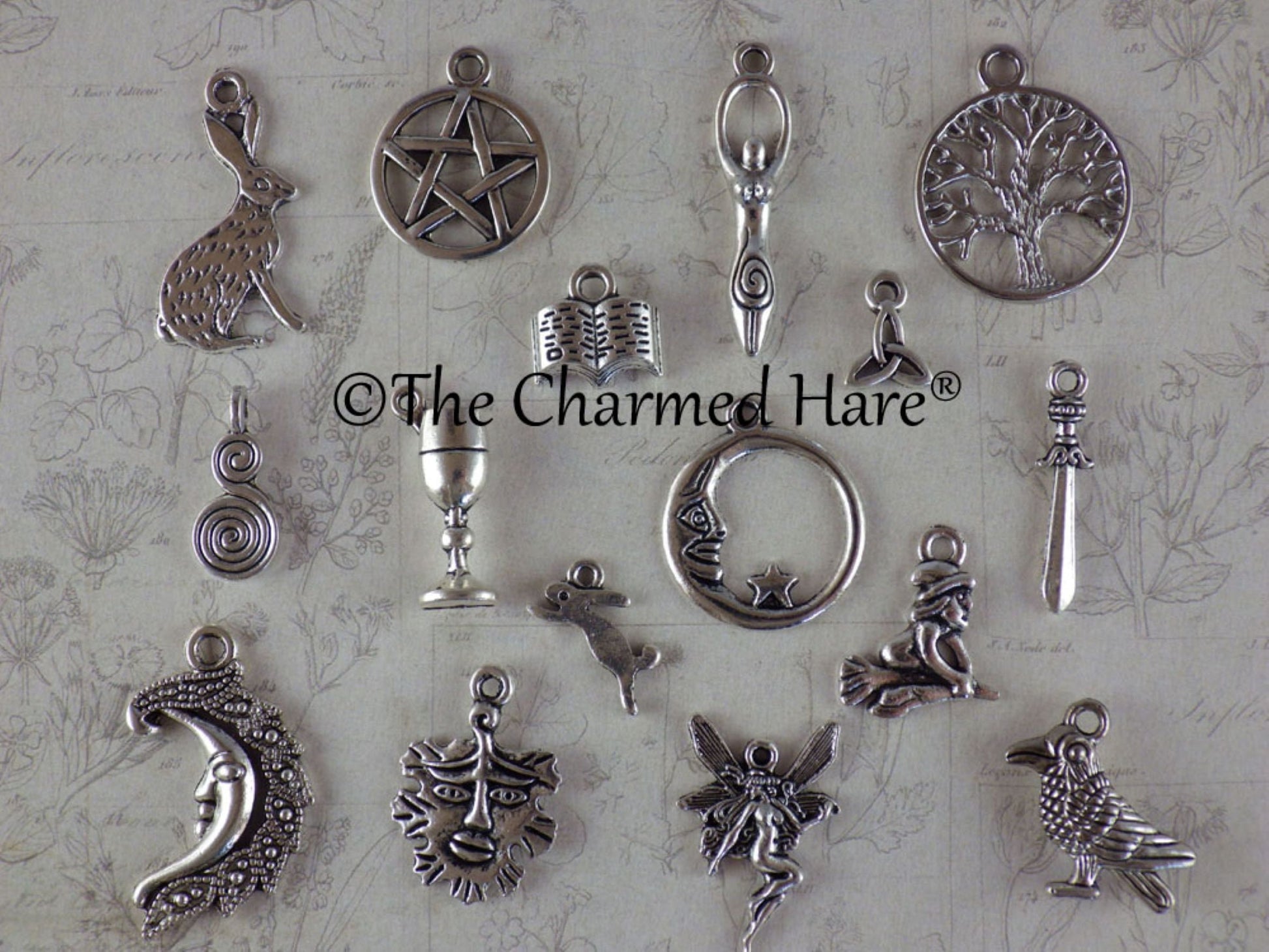 16 x Mixed Pagan Charms, Wiccan Silver Charms Set, Pendants, Pentagram Moon Goddess Hare Raven, Jewelry Making Supplies, UK Seller