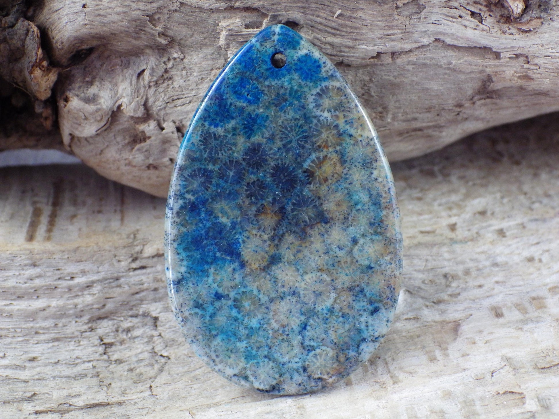 Blue Fossil Coral Jasper Pendant 49x31mm M6