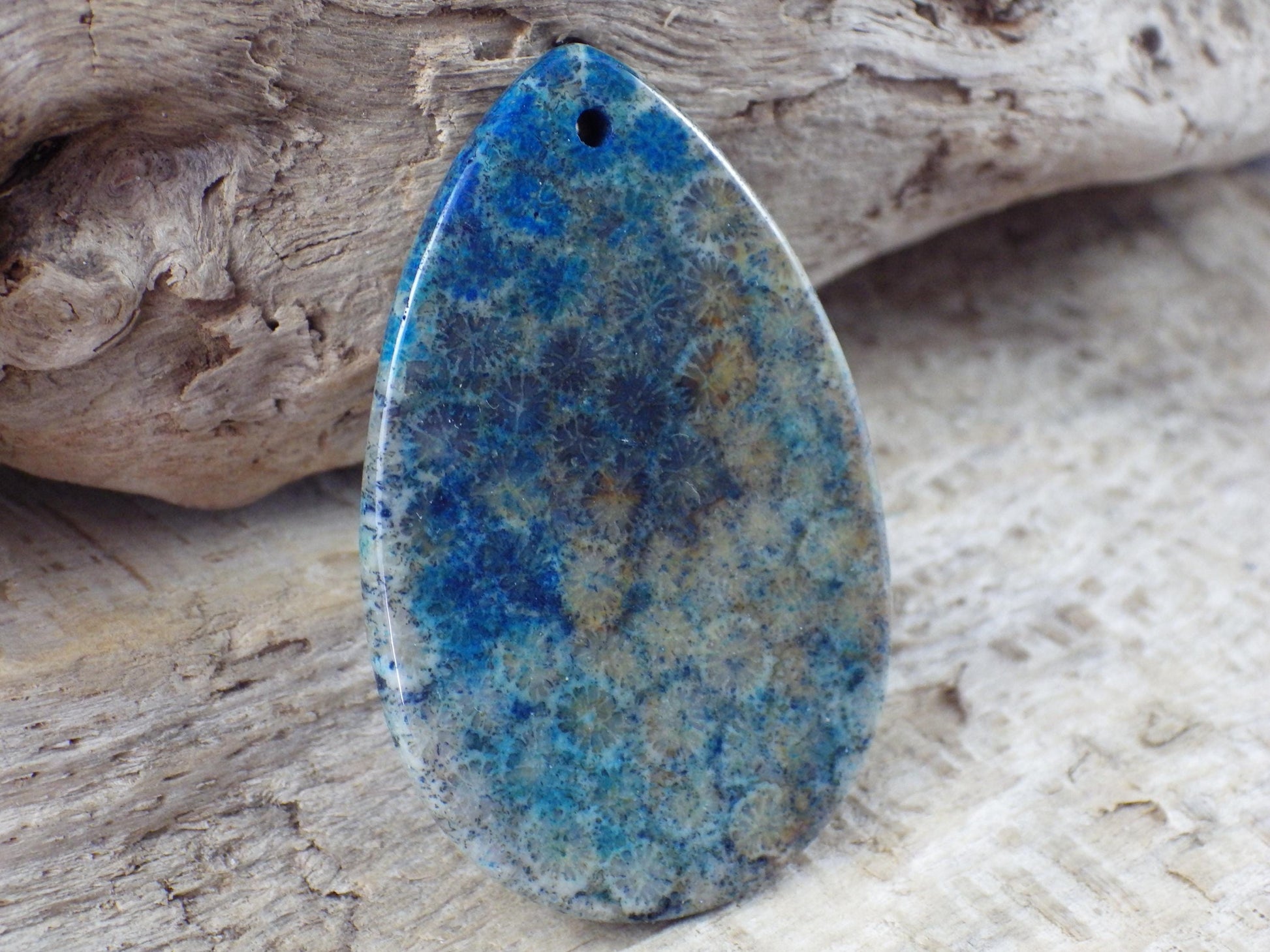 Blue Fossil Coral Jasper Pendant 49x31mm M6