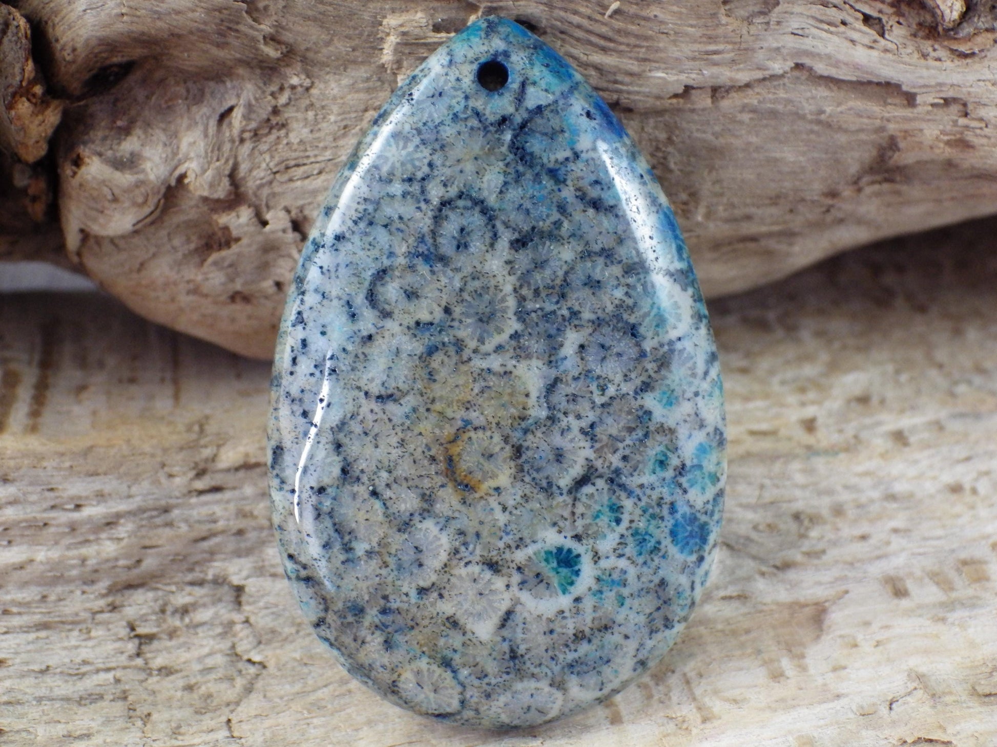 Blue Fossil Coral Jasper Pendant 49x31mm M6