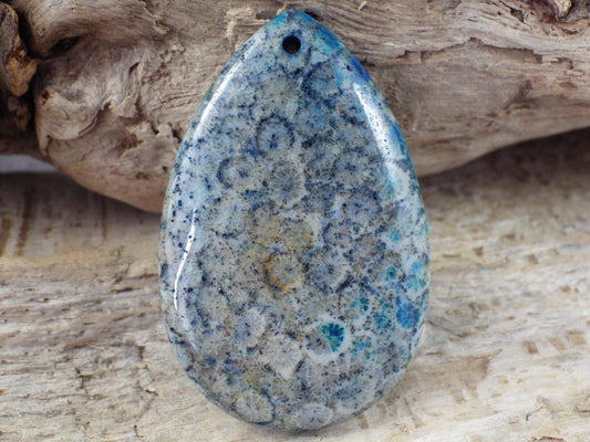 Blue Fossil Coral Jasper Pendant 49x31mm M6