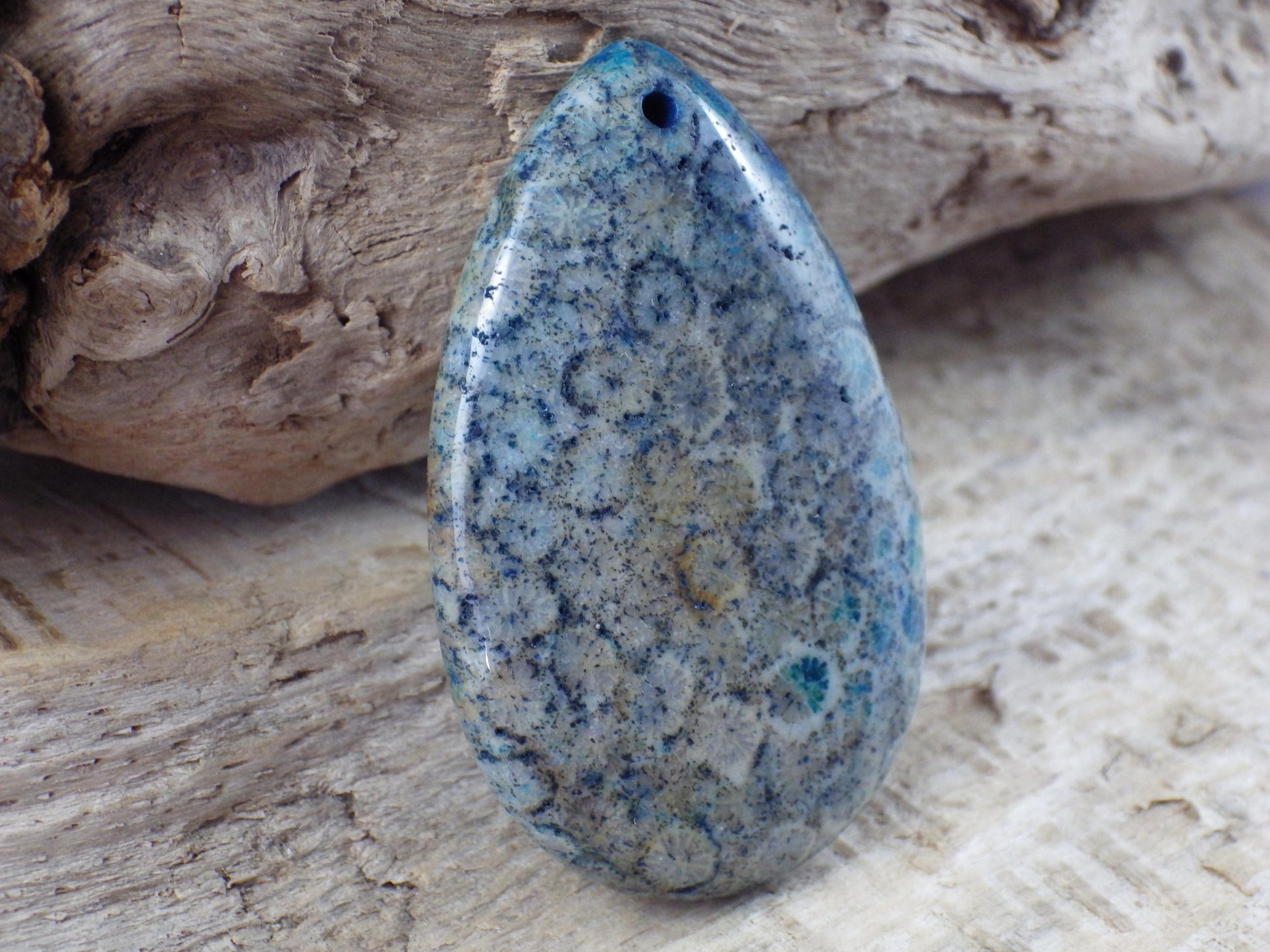 Blue Fossil Coral Jasper Pendant 49x31mm M6