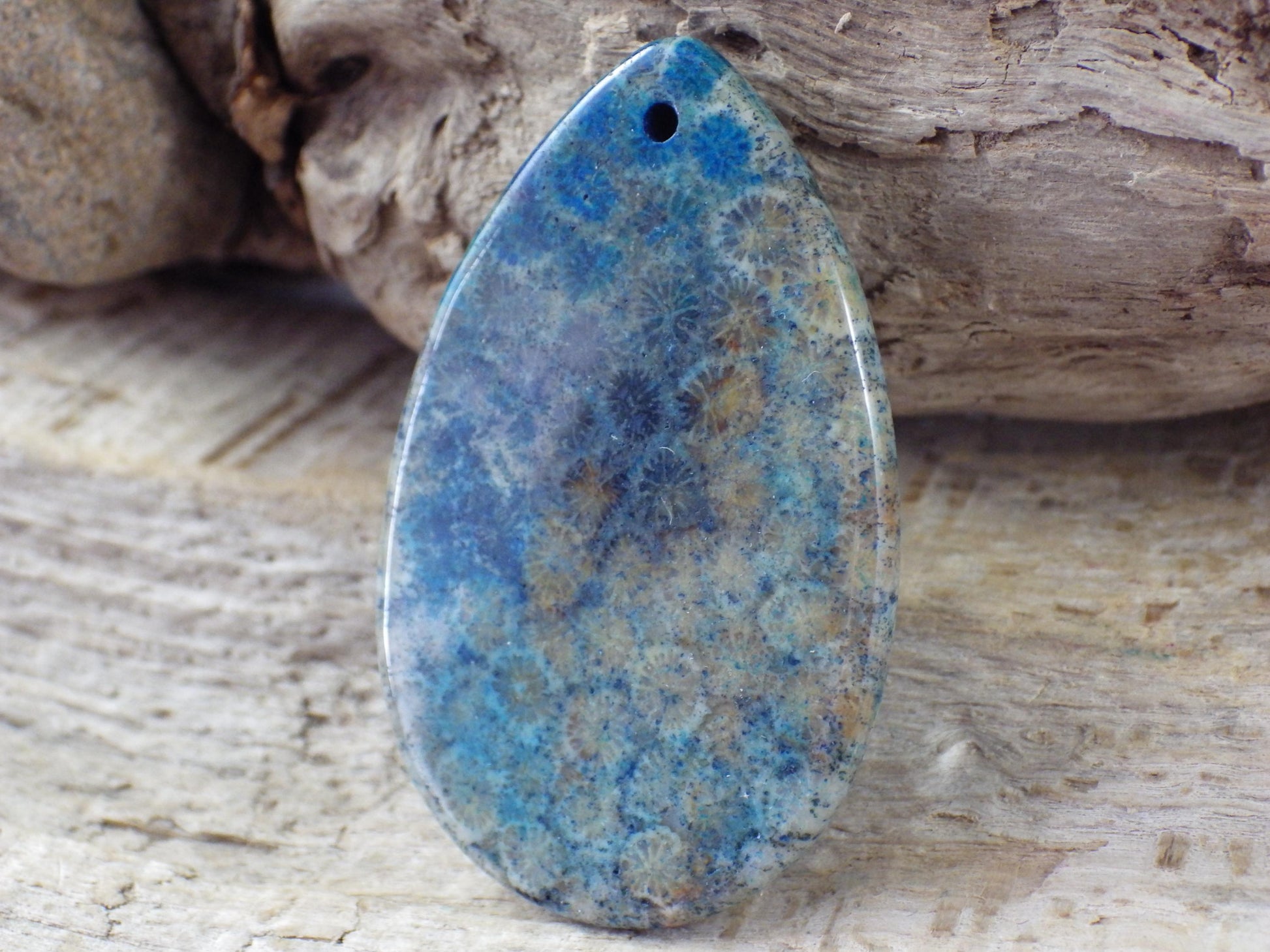 Blue Fossil Coral Jasper Pendant 49x31mm M6