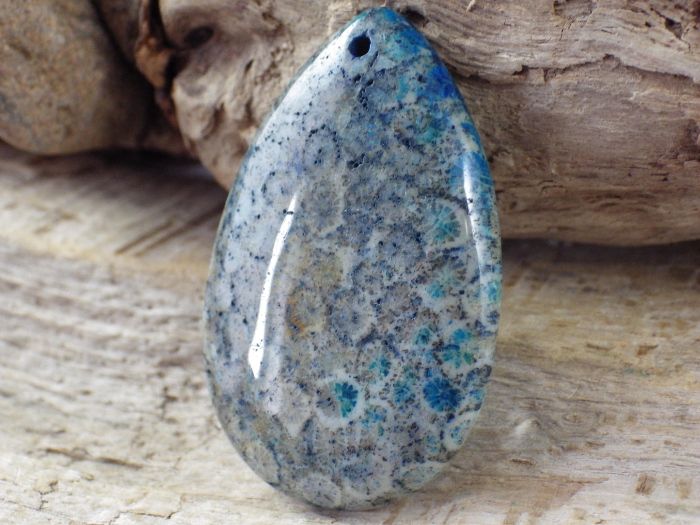 Blue Fossil Coral Jasper Pendant 49x31mm M6