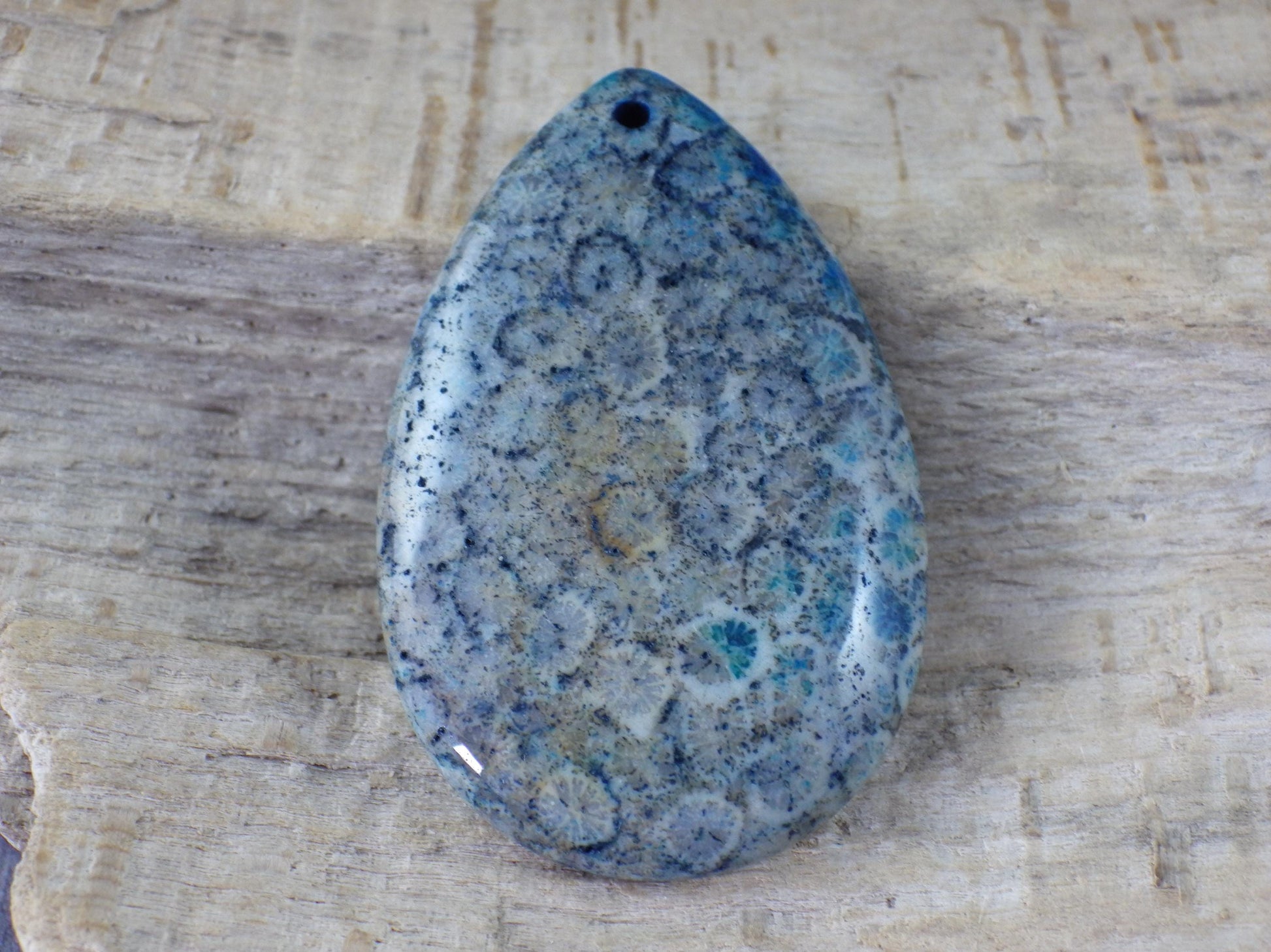 Blue Fossil Coral Jasper Pendant 49x31mm M6