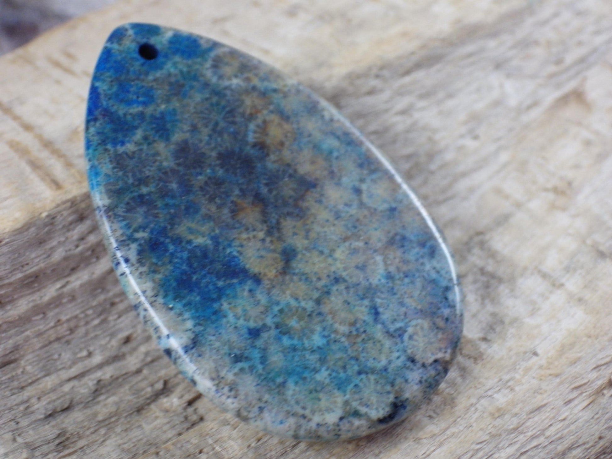 Blue Fossil Coral Jasper Pendant 49x31mm M6