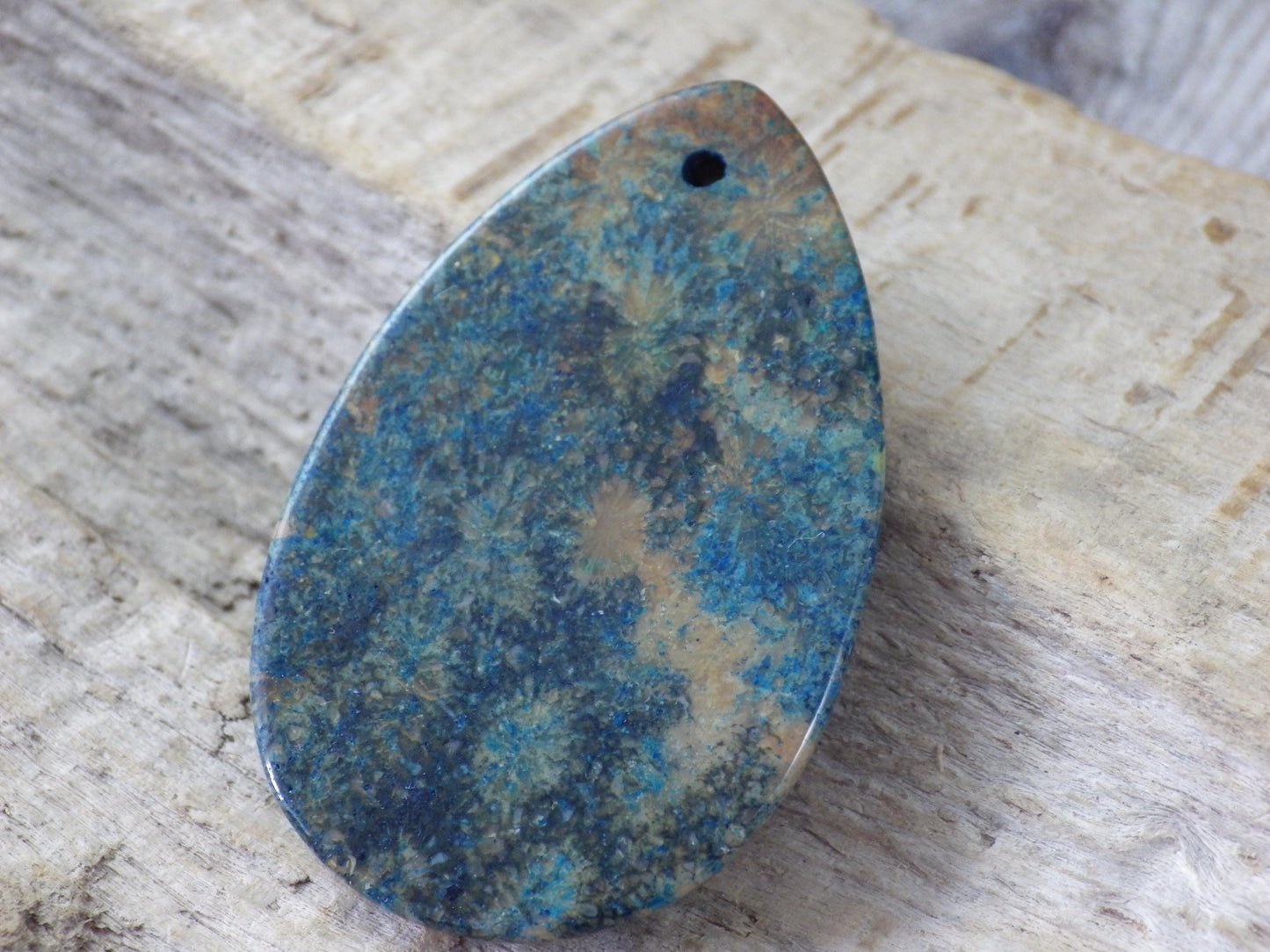 Blue Fossil Coral Jasper Pendant, 35x15mm K3