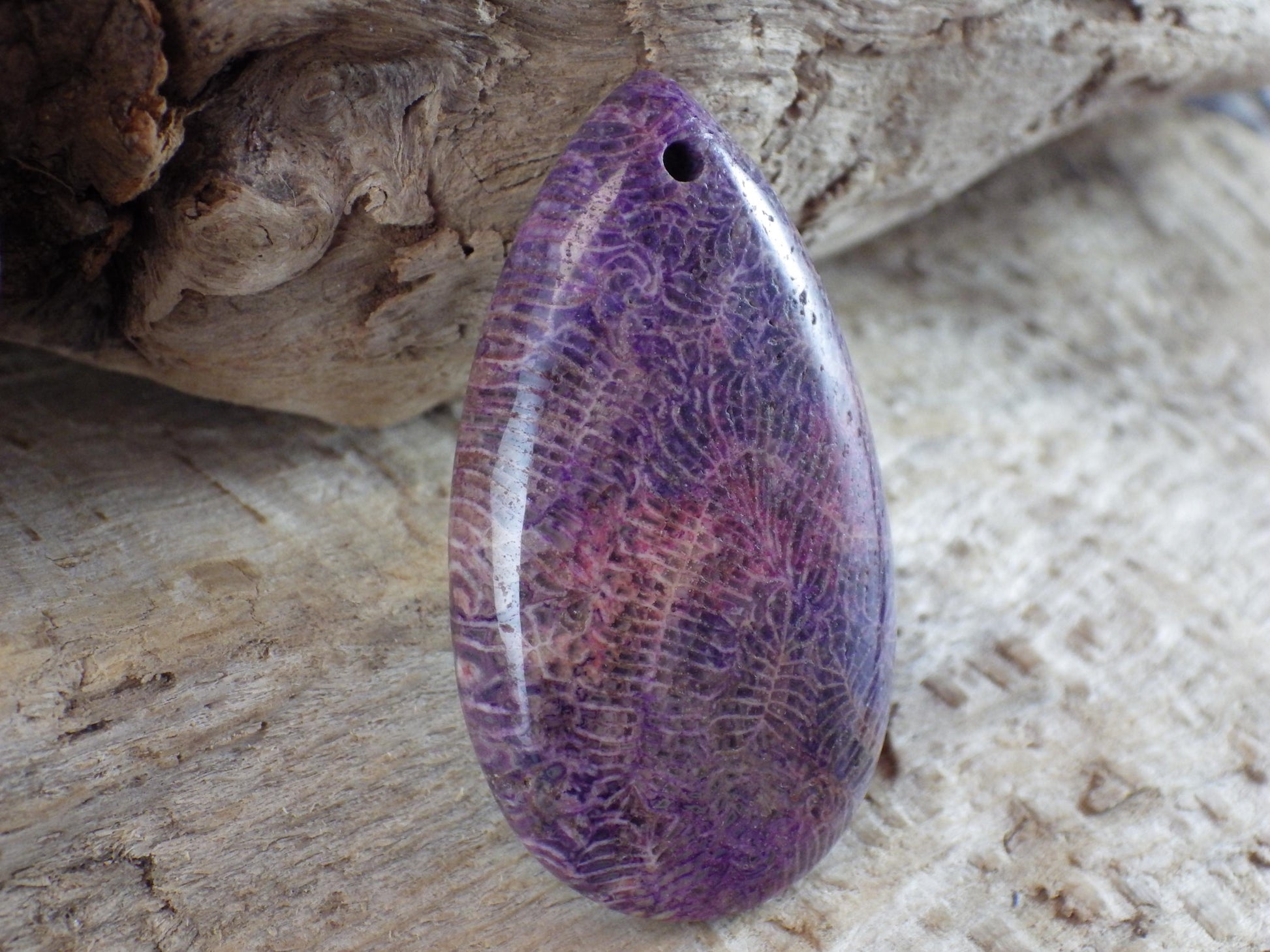 Blue Fossil Coral Jasper Pendant 48x31mm A4