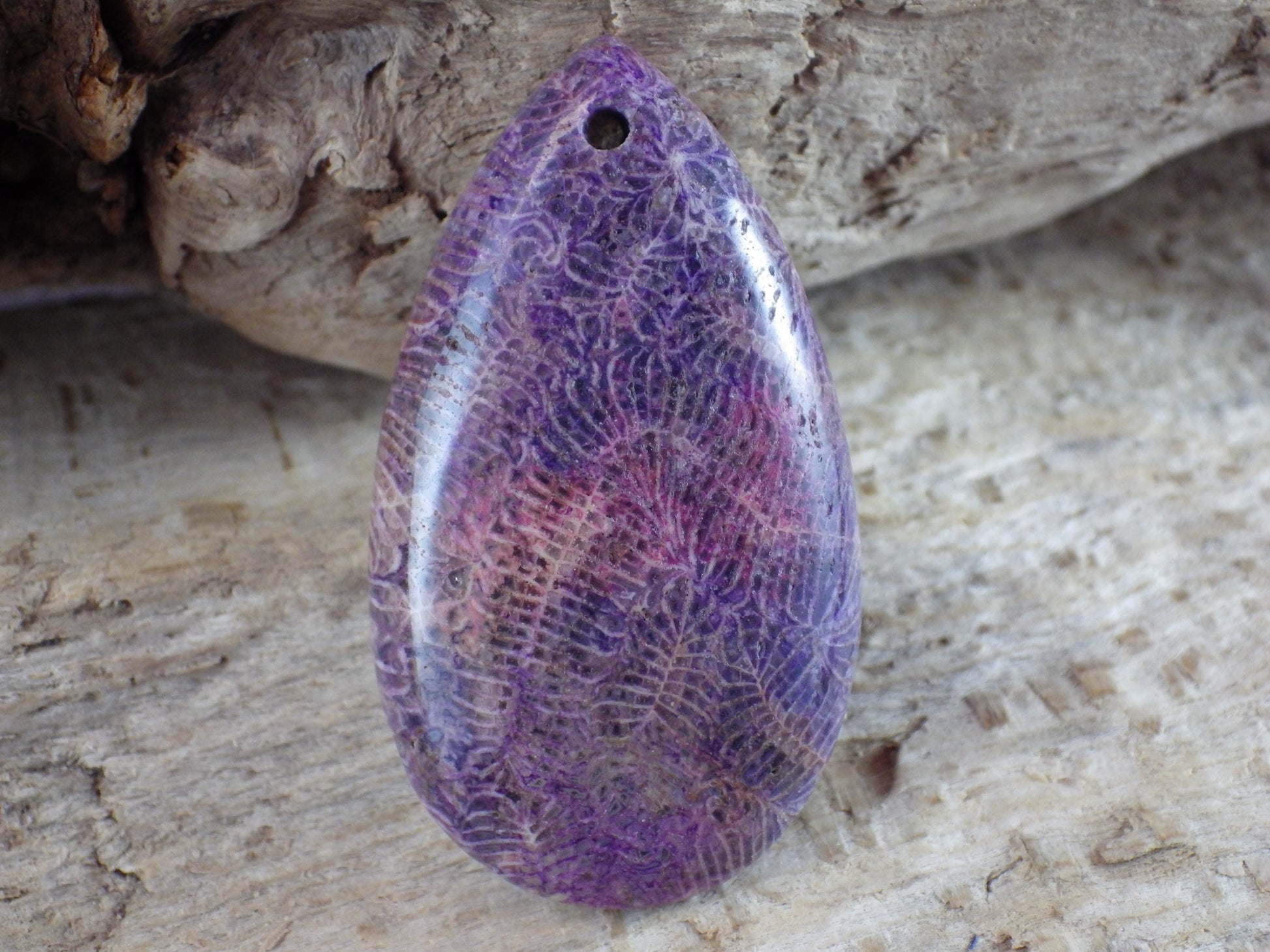 Blue Fossil Coral Jasper Pendant 48x31mm A4