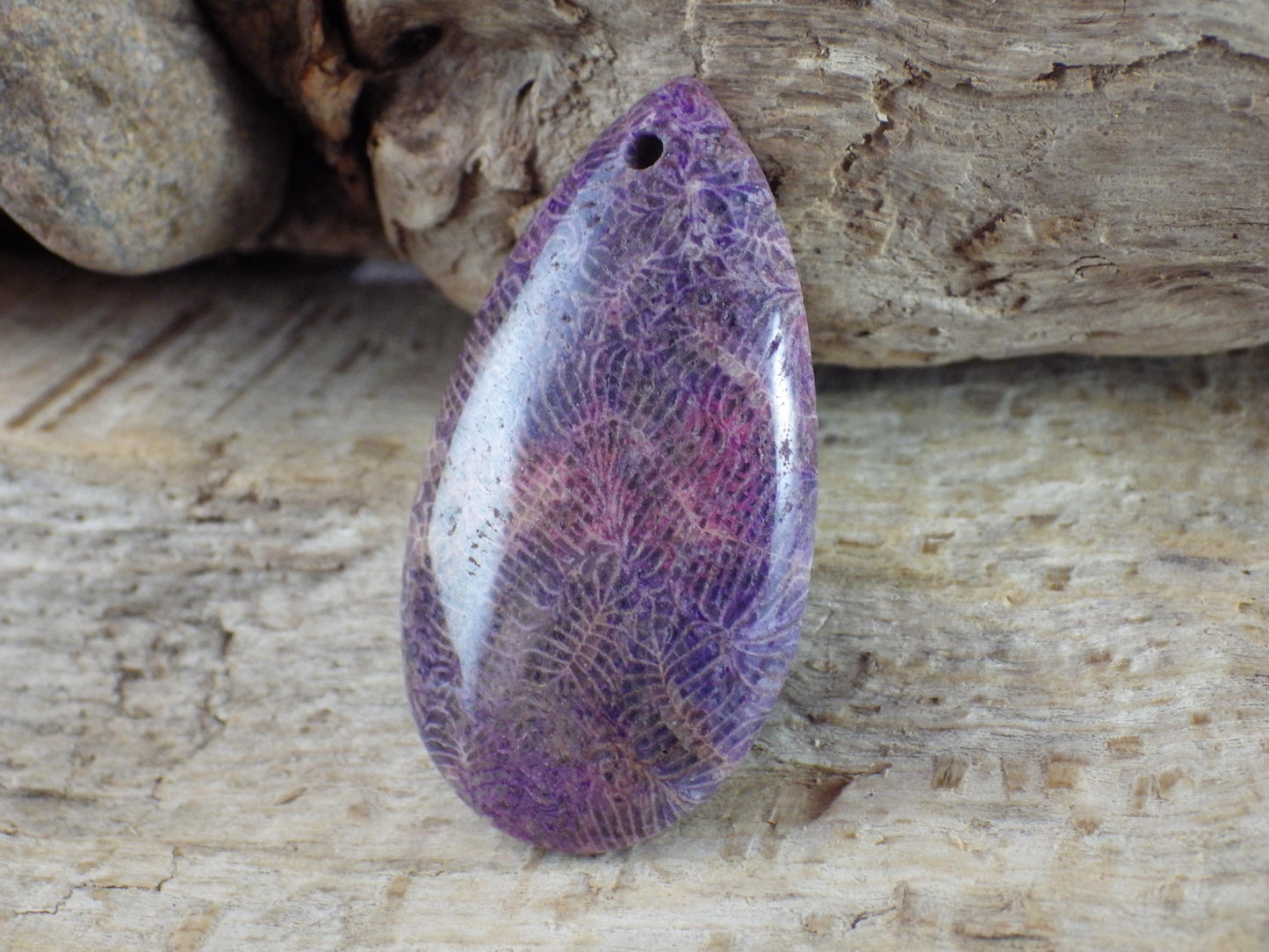 Blue Fossil Coral Jasper Pendant 48x31mm A4