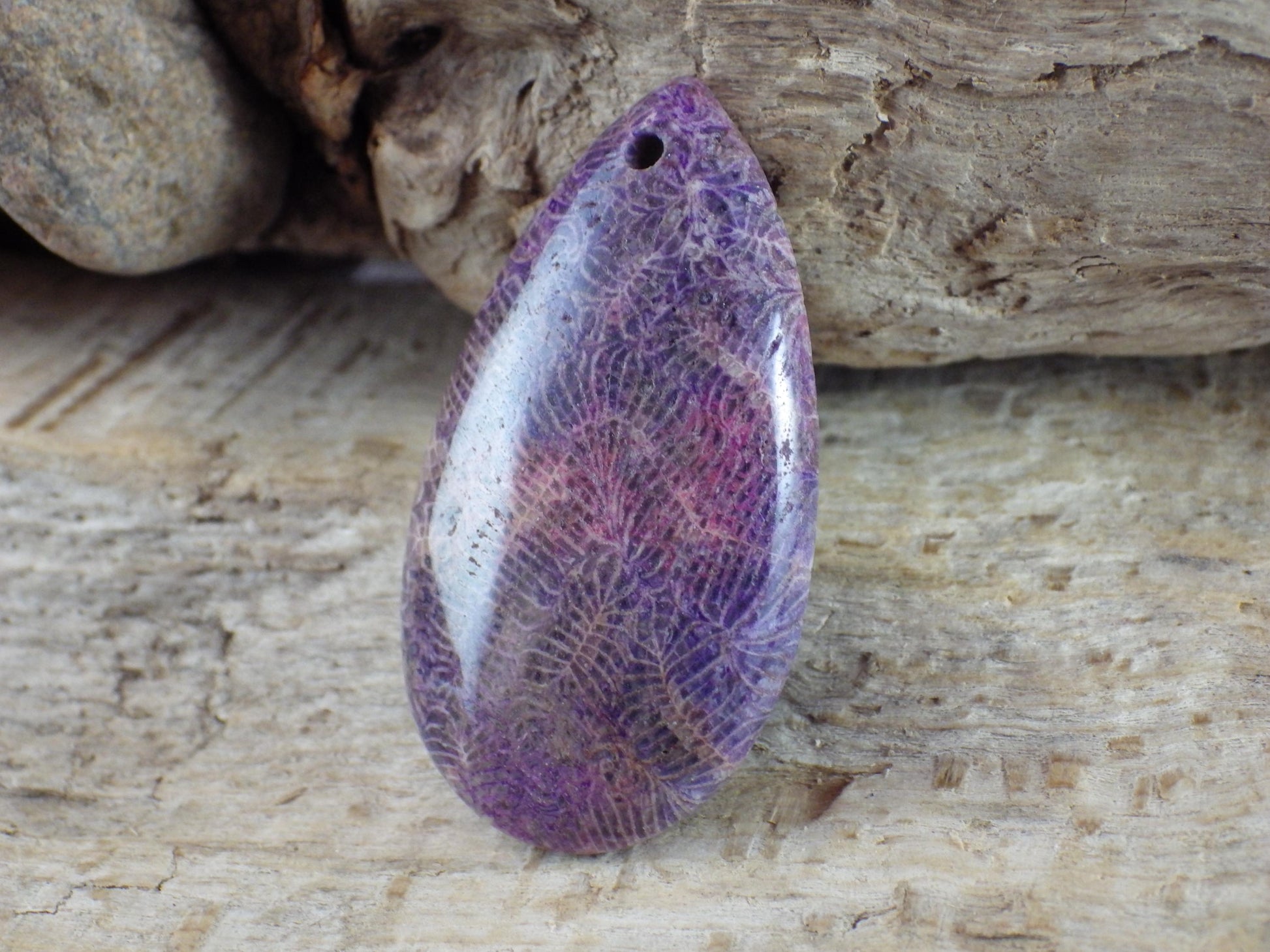 Blue Fossil Coral Jasper Pendant 48x31mm A4