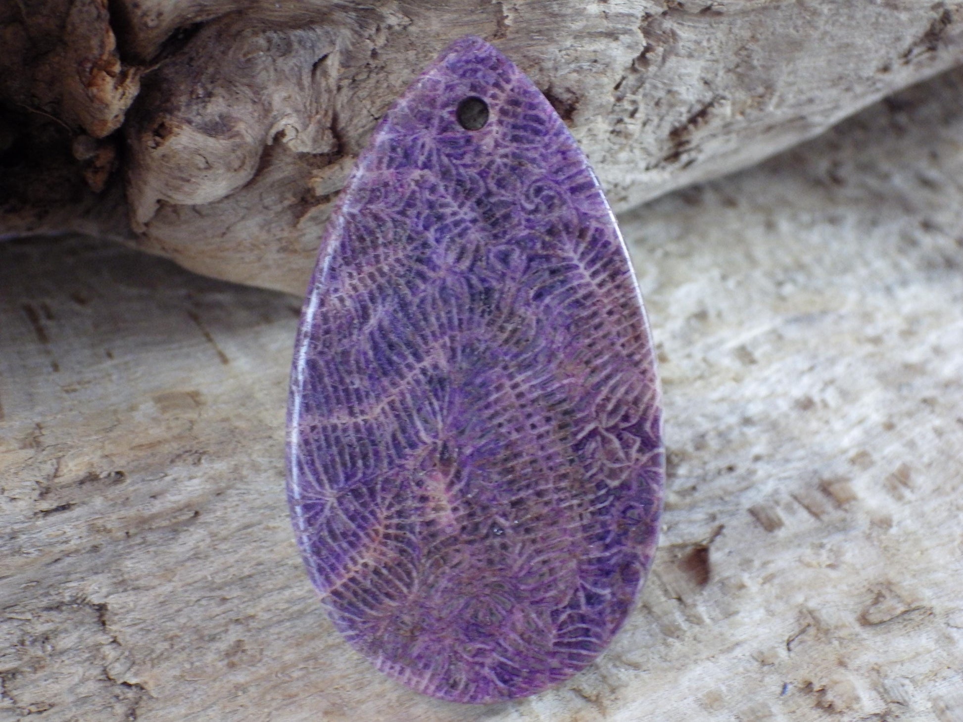Blue Fossil Coral Jasper Pendant 48x31mm A4