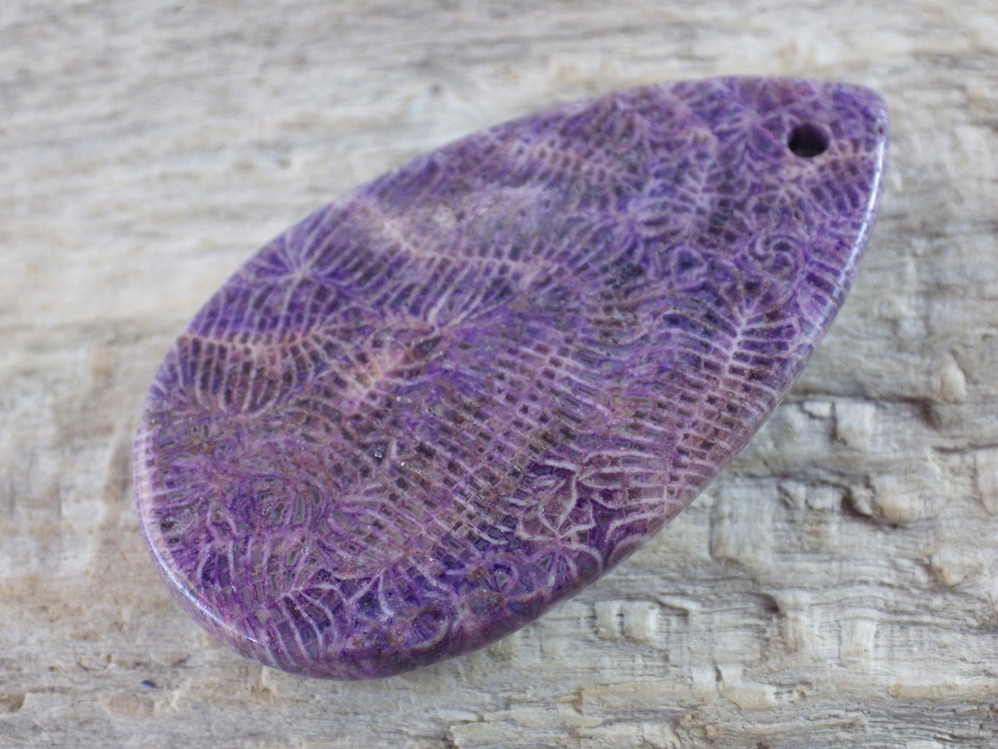 Blue Fossil Coral Jasper Pendant 48x31mm A4