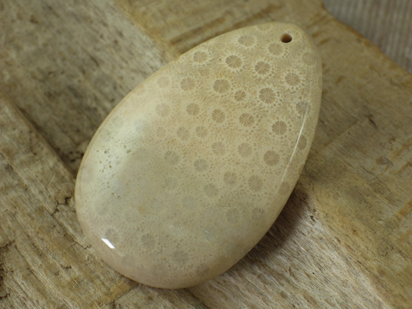 Fossil Coral Jasper Pendant 48x31mm, Semi Precious Gemstone Cabochon, Polished Top Drilled Teardrop, Loose Stone, Jewelry Making Supplies A2