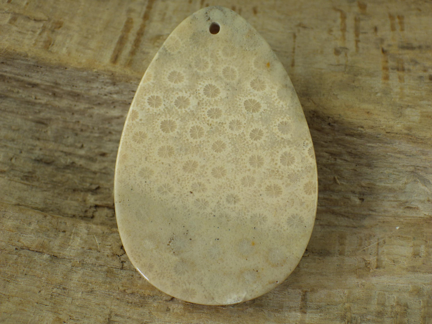 Fossil Coral Jasper Pendant 48x31mm, Semi Precious Gemstone Cabochon, Polished Top Drilled Teardrop, Loose Stone, Jewelry Making Supplies A2