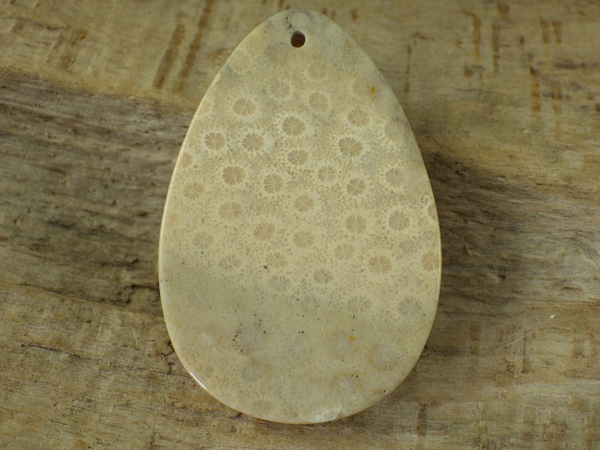 Fossil Coral Jasper Pendant 48x31mm, Semi Precious Gemstone Cabochon, Polished Top Drilled Teardrop, Loose Stone, Jewelry Making Supplies A2