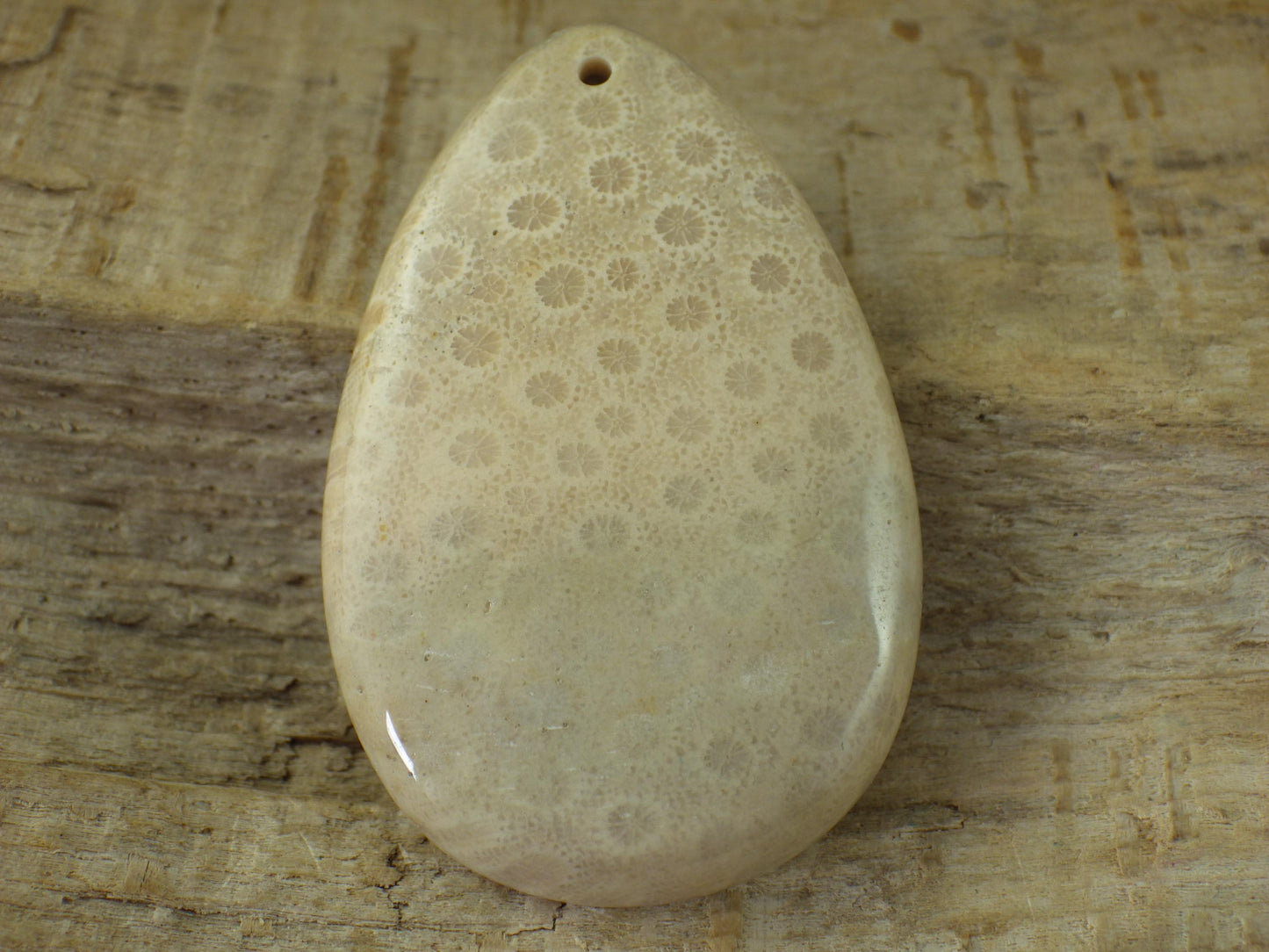 Fossil Coral Jasper Pendant 48x31mm, Semi Precious Gemstone Cabochon, Polished Top Drilled Teardrop, Loose Stone, Jewelry Making Supplies A2