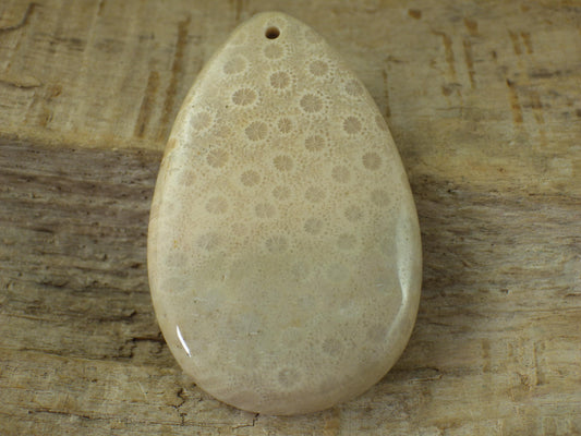 Fossil Coral Jasper Pendant 48x31mm, Semi Precious Gemstone Cabochon, Polished Top Drilled Teardrop, Loose Stone, Jewelry Making Supplies A2
