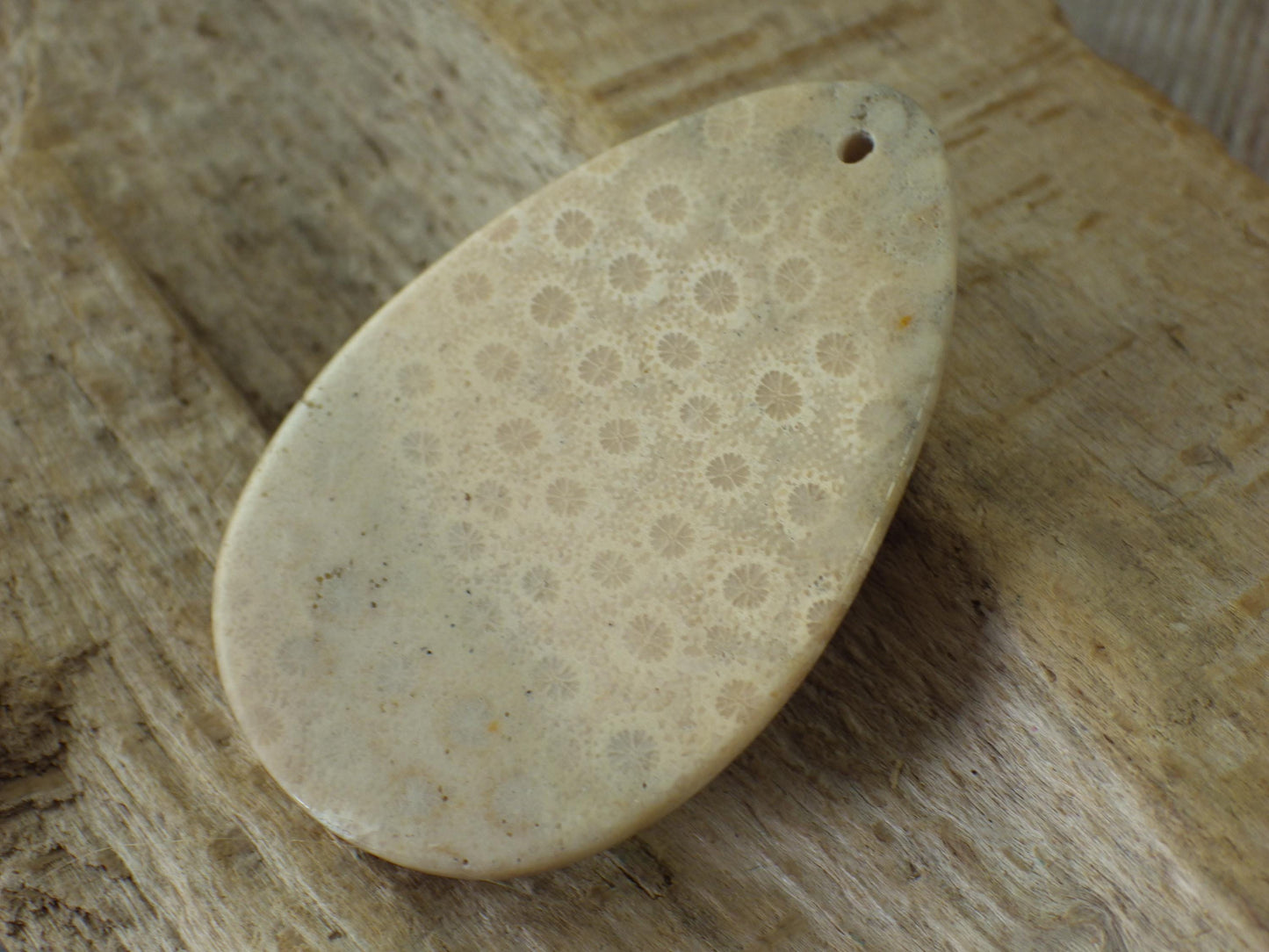 Fossil Coral Jasper Pendant 48x31mm, Semi Precious Gemstone Cabochon, Polished Top Drilled Teardrop, Loose Stone, Jewelry Making Supplies A2
