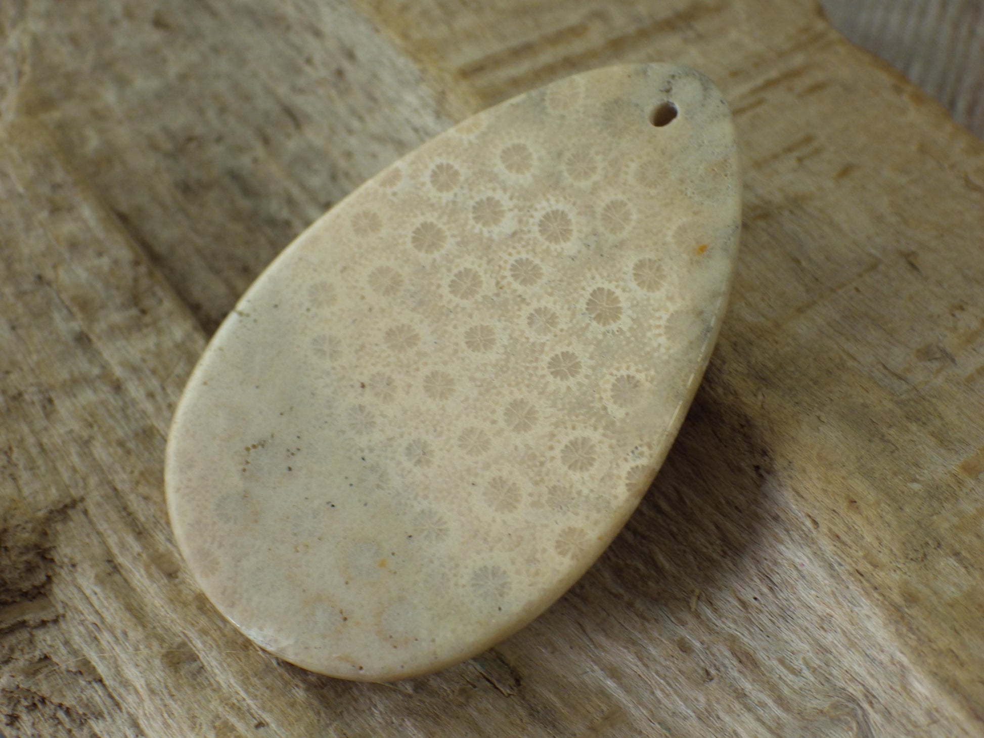 Fossil Coral Jasper Pendant 48x31mm, Semi Precious Gemstone Cabochon, Polished Top Drilled Teardrop, Loose Stone, Jewelry Making Supplies A2