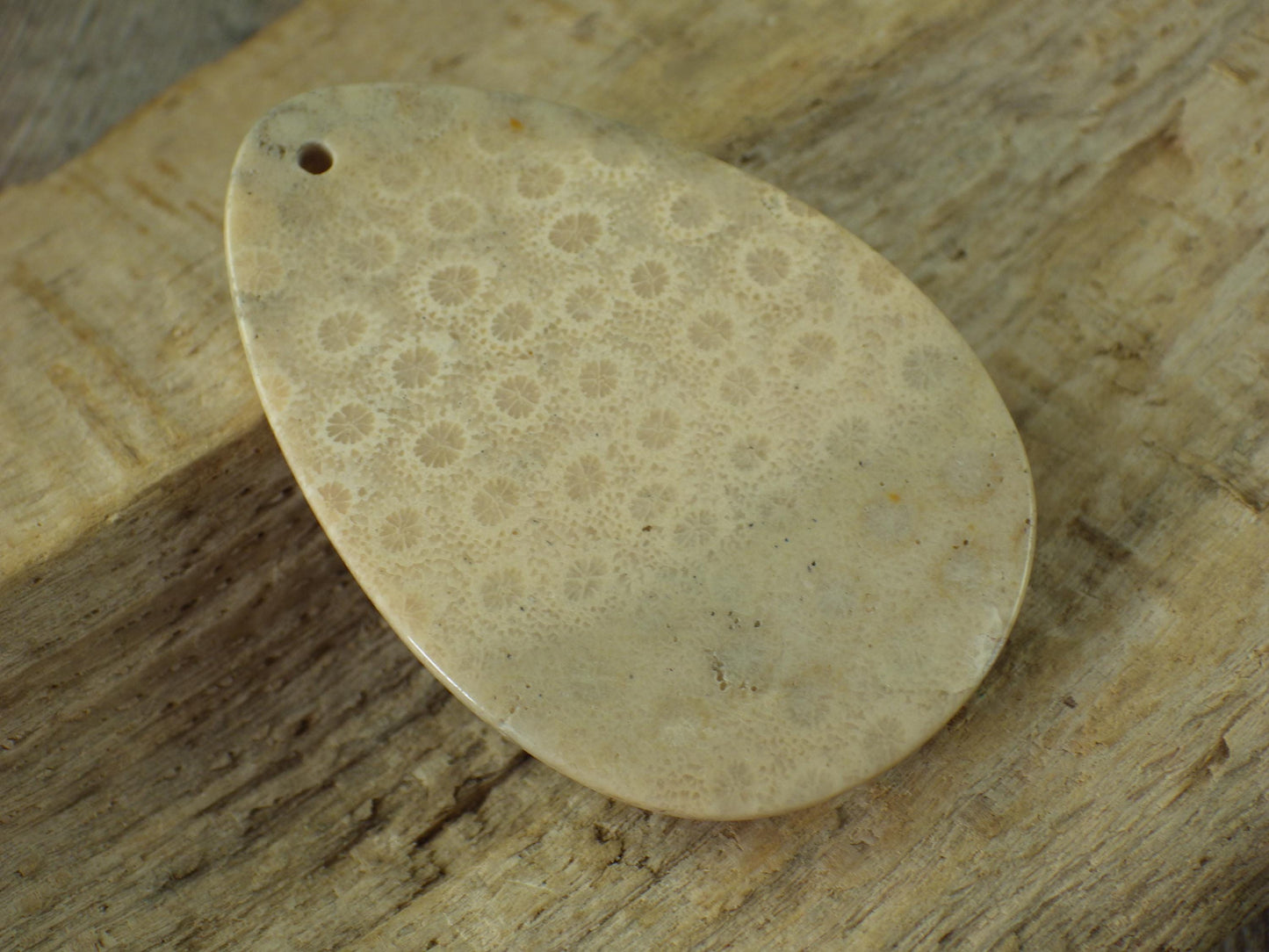 Fossil Coral Jasper Pendant 48x31mm, Semi Precious Gemstone Cabochon, Polished Top Drilled Teardrop, Loose Stone, Jewelry Making Supplies A2