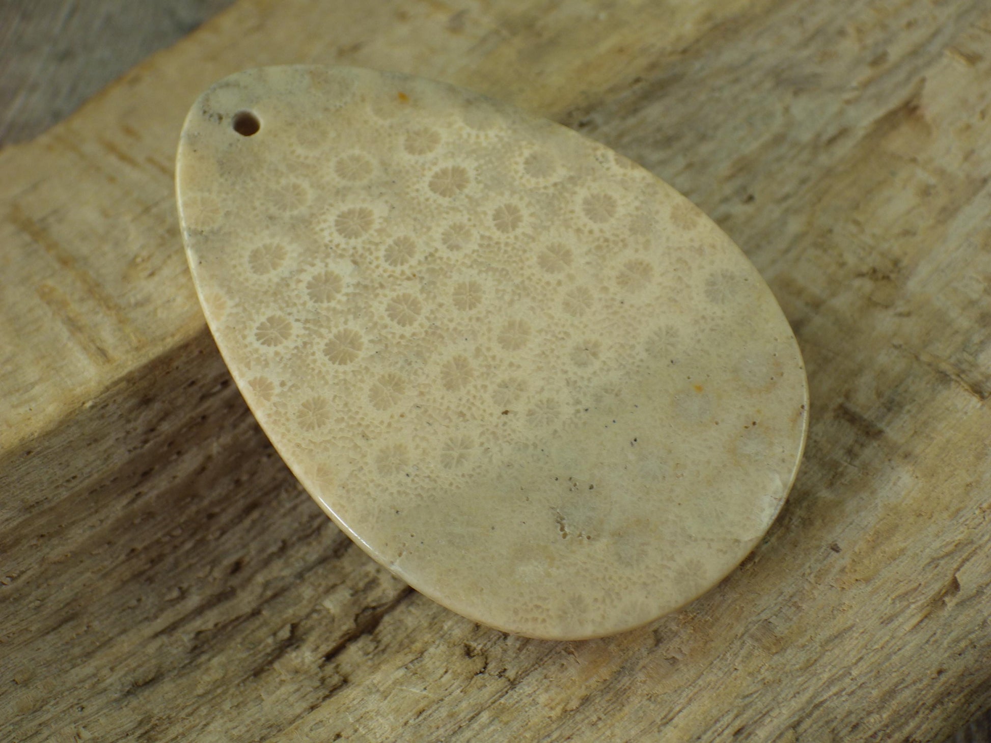 Fossil Coral Jasper Pendant 48x31mm, Semi Precious Gemstone Cabochon, Polished Top Drilled Teardrop, Loose Stone, Jewelry Making Supplies A2