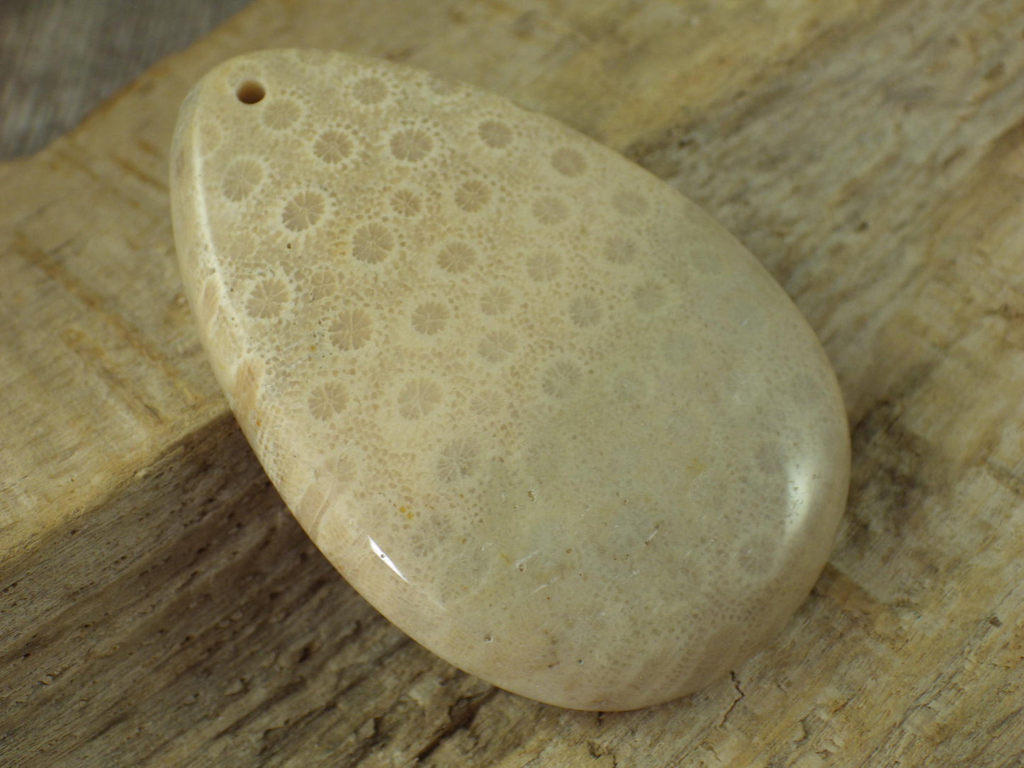 Fossil Coral Jasper Pendant 48x31mm, Semi Precious Gemstone Cabochon, Polished Top Drilled Teardrop, Loose Stone, Jewelry Making Supplies A2