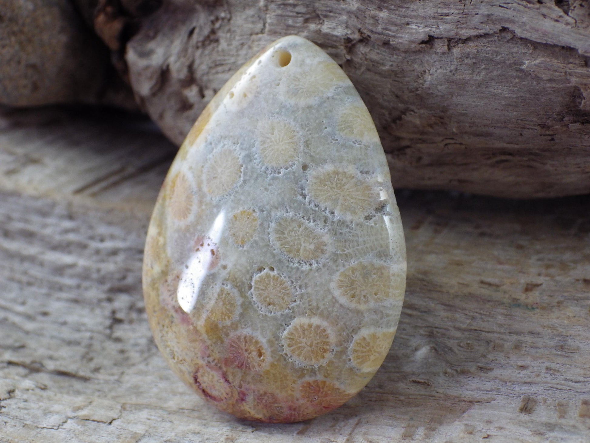Fossil Coral Jasper Semi Precious Gemstone Pendant 43x31mm, Top Drilled Teardrop Cabochon, Nature Lovers Gift, Polished Loose Stone J1
