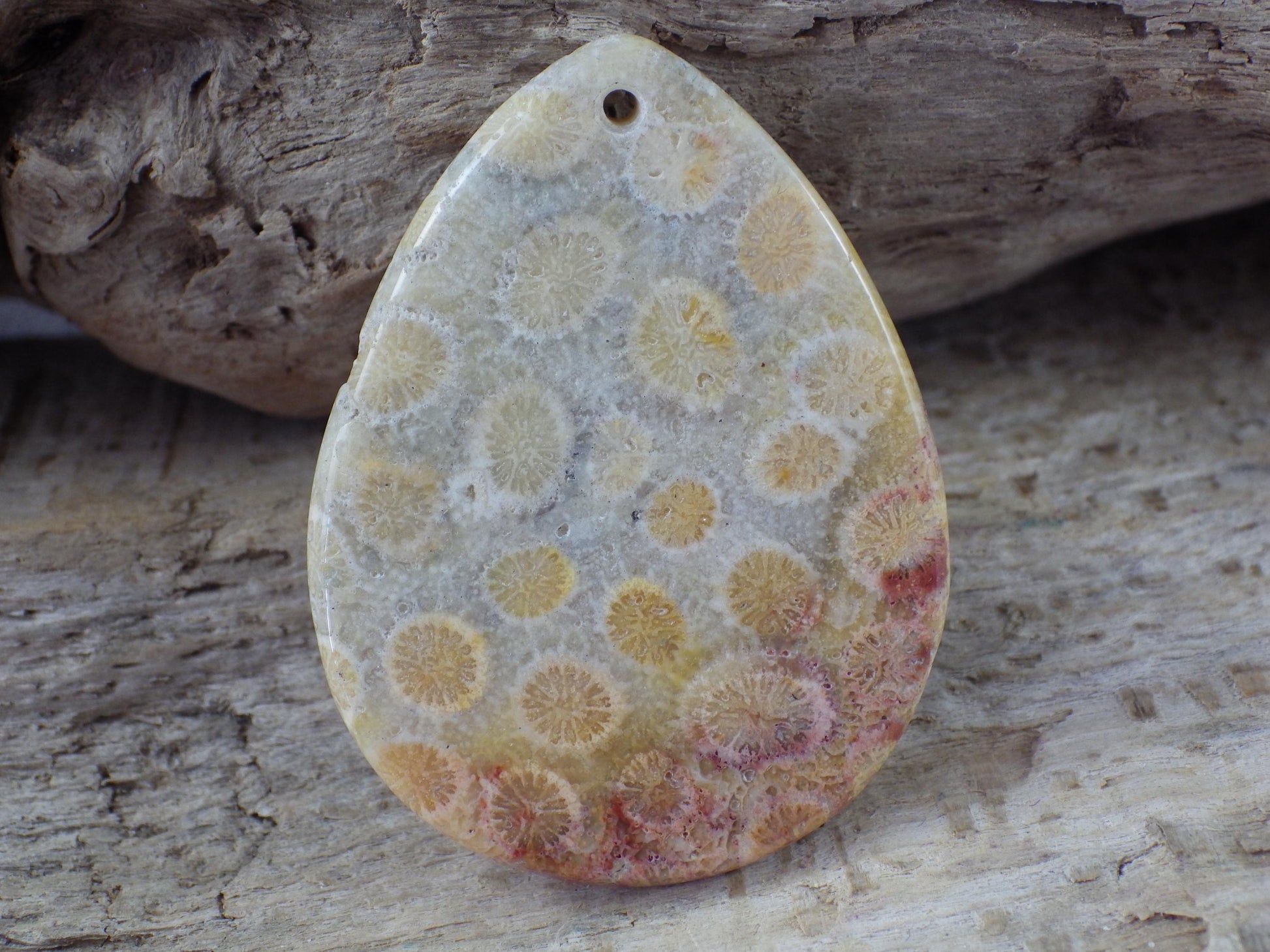 Fossil Coral Jasper Semi Precious Gemstone Pendant 43x31mm, Top Drilled Teardrop Cabochon, Nature Lovers Gift, Polished Loose Stone J1