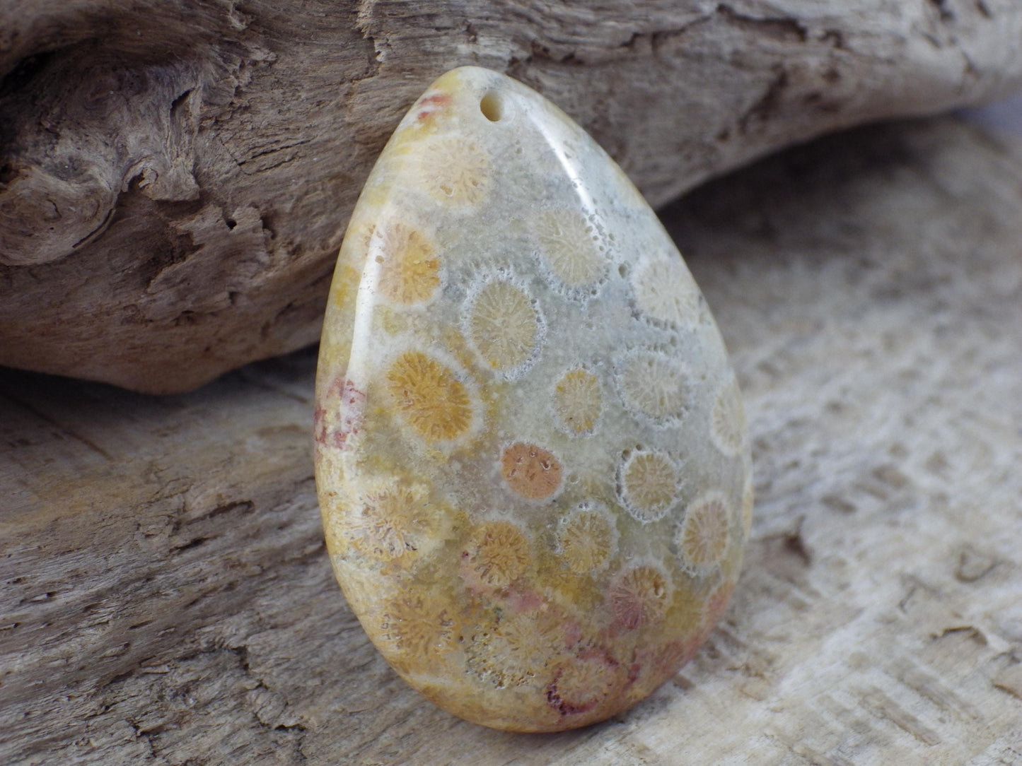 Fossil Coral Jasper Semi Precious Gemstone Pendant 43x31mm, Top Drilled Teardrop Cabochon, Nature Lovers Gift, Polished Loose Stone J1