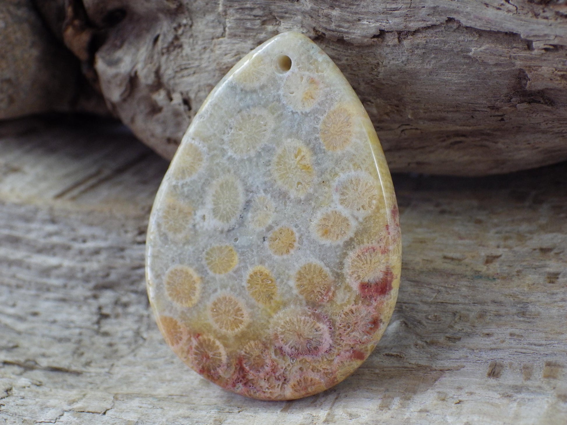 Fossil Coral Jasper Semi Precious Gemstone Pendant 43x31mm, Top Drilled Teardrop Cabochon, Nature Lovers Gift, Polished Loose Stone J1