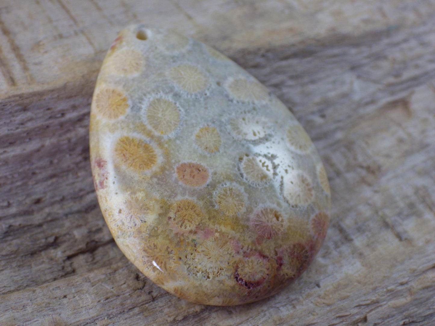 Fossil Coral Jasper Semi Precious Gemstone Pendant 43x31mm, Top Drilled Teardrop Cabochon, Nature Lovers Gift, Polished Loose Stone J1
