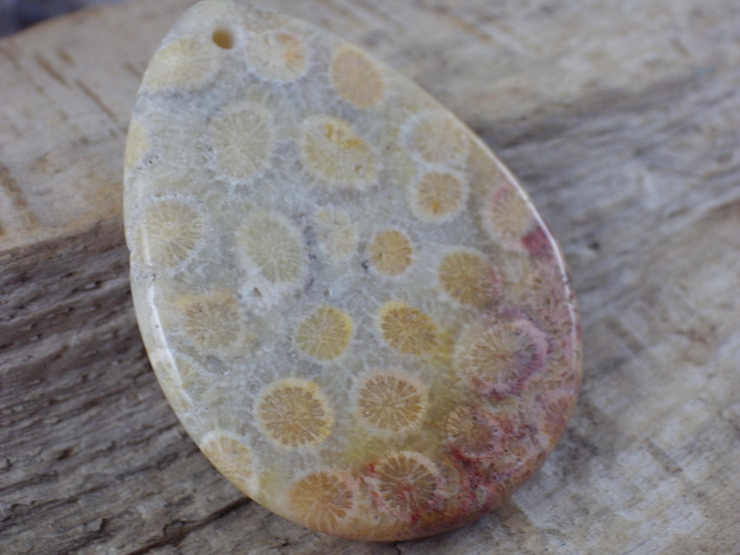 Fossil Coral Jasper Semi Precious Gemstone Pendant 43x31mm, Top Drilled Teardrop Cabochon, Nature Lovers Gift, Polished Loose Stone J1