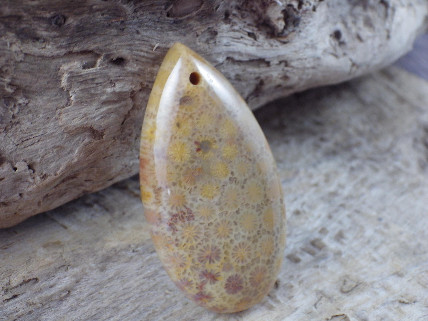 Fossil Coral Jasper Teardrop Pendant 35x16mm A4