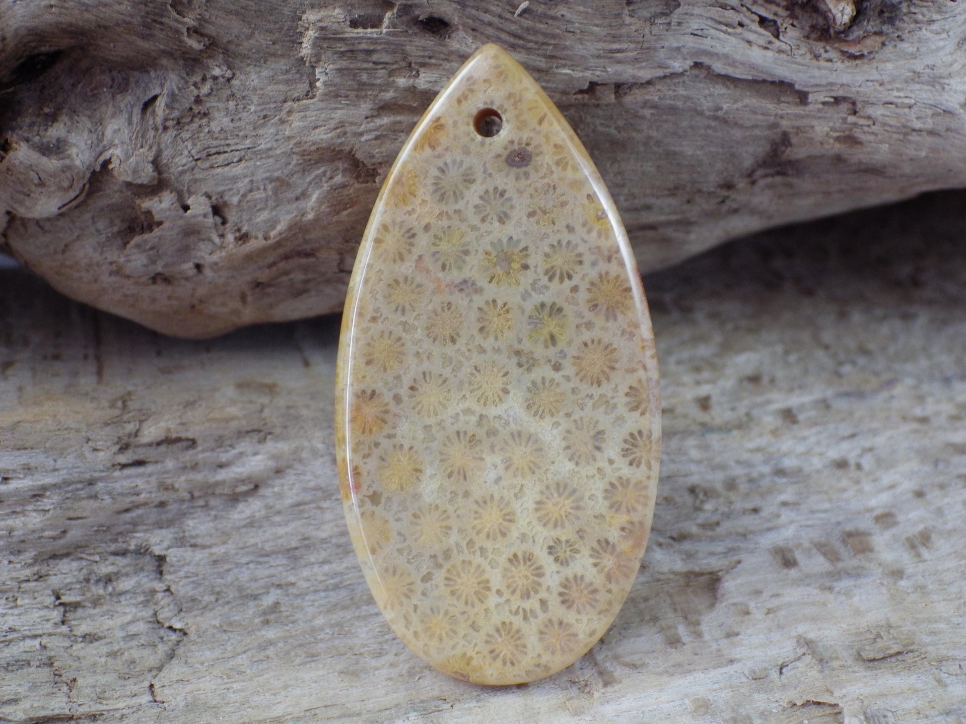 Fossil Coral Jasper Teardrop Pendant 35x16mm A4