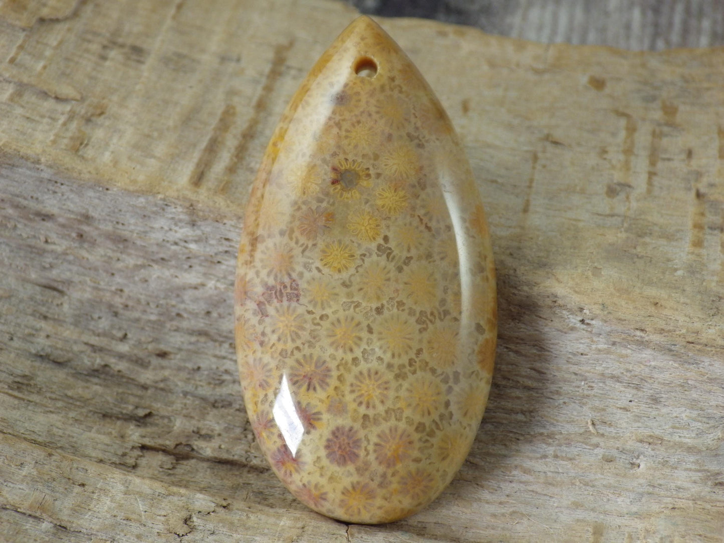 Fossil Coral Jasper Teardrop Pendant 35x16mm A4