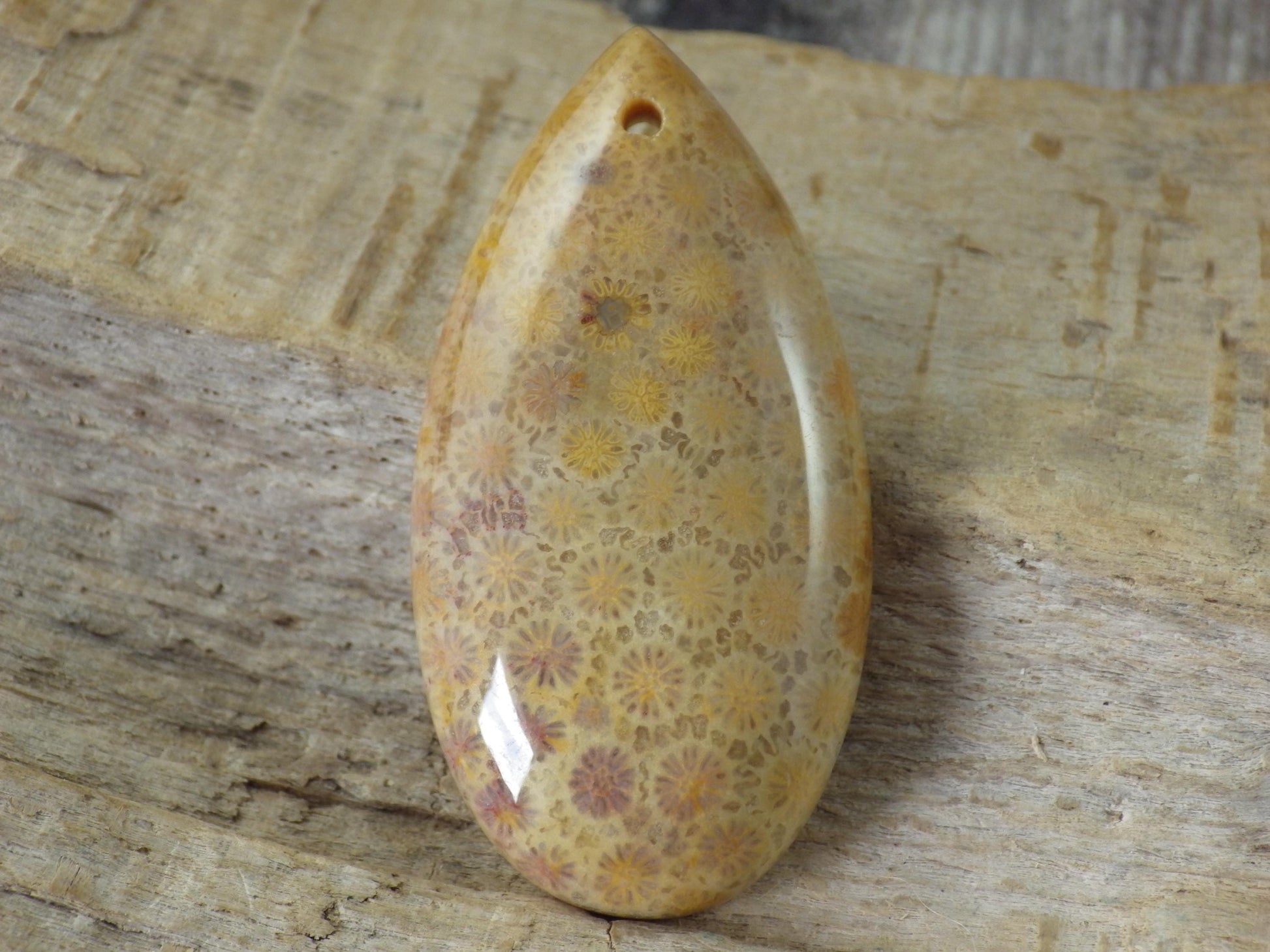 Fossil Coral Jasper Teardrop Pendant 35x16mm A4