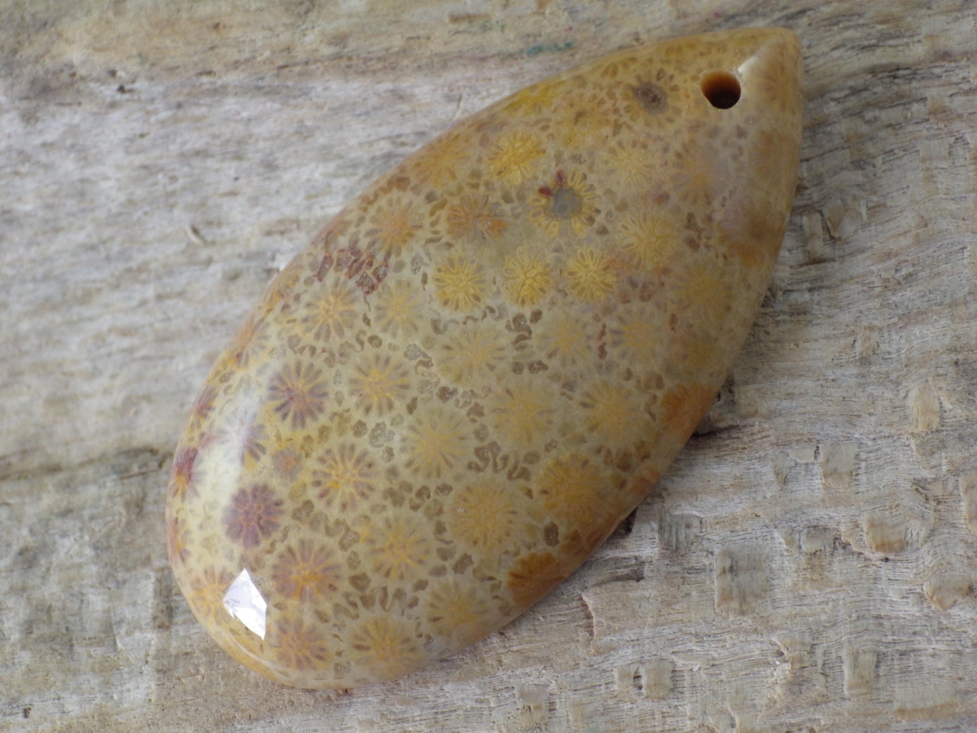 Fossil Coral Jasper Teardrop Pendant 35x16mm A4