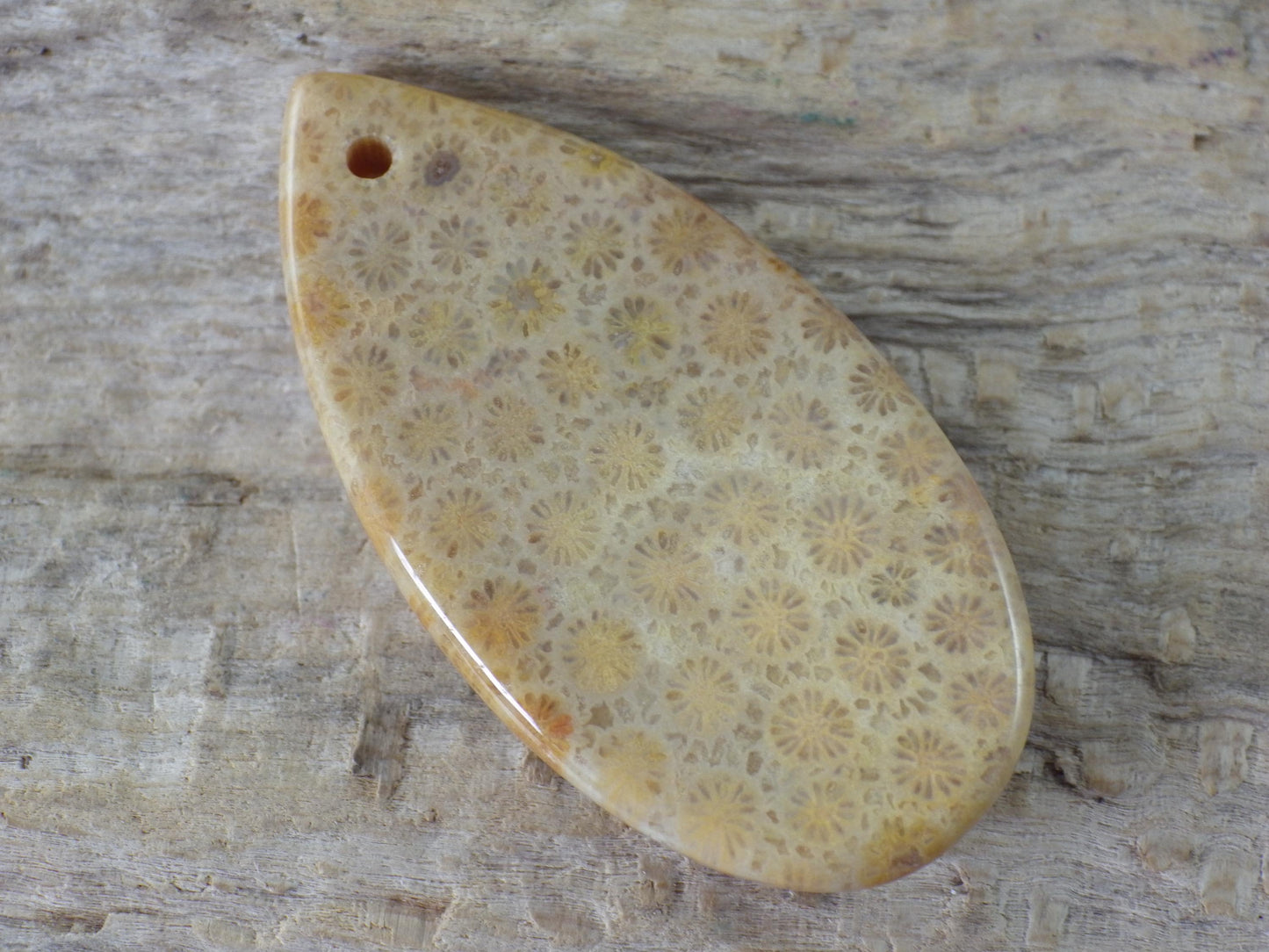 Fossil Coral Jasper Teardrop Pendant 35x16mm A4